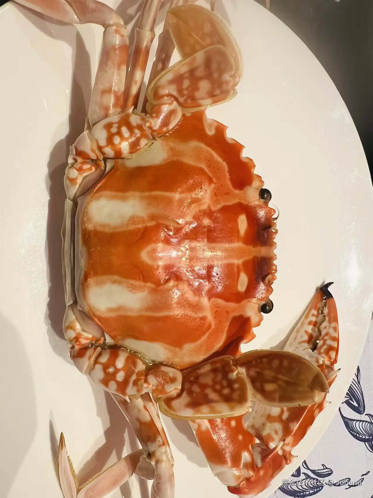 Johana于2025-12-28 15:02发布的图片