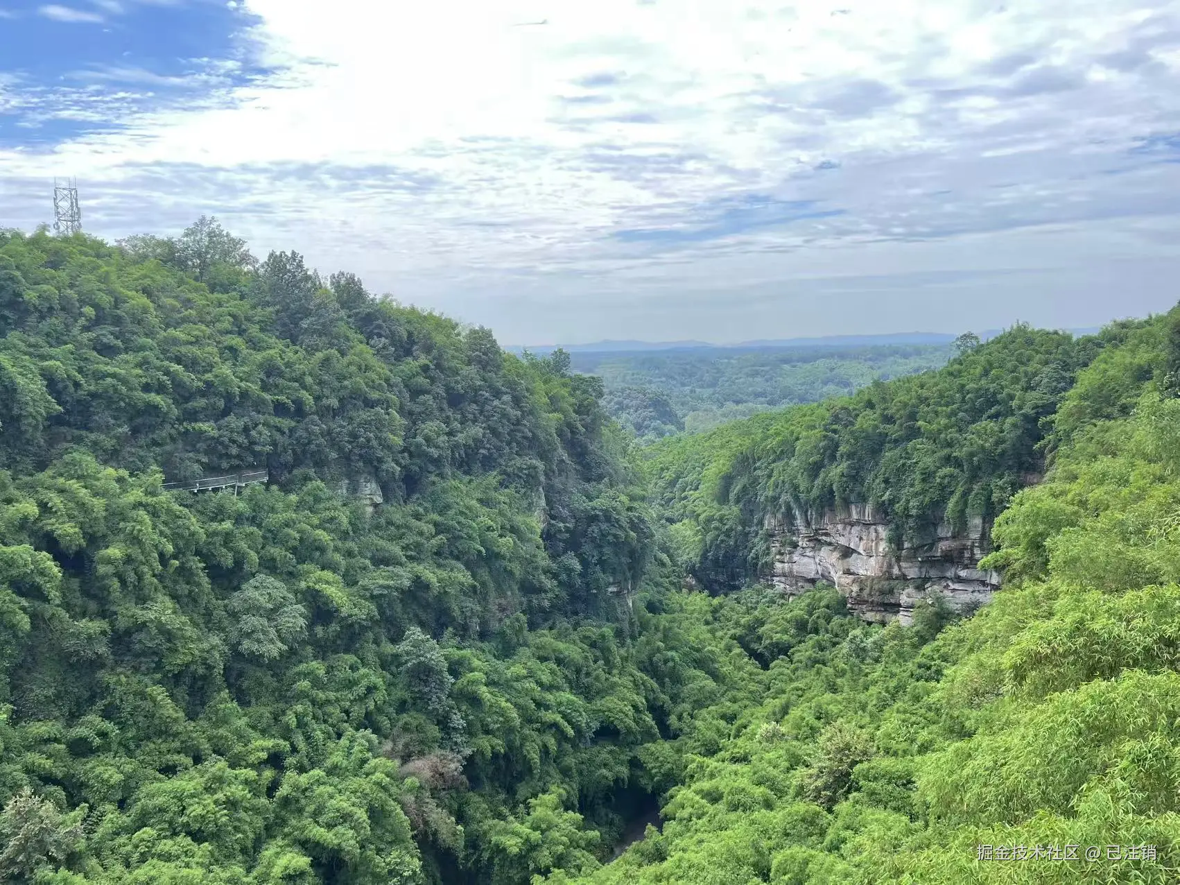 已注销于2025-05-26 16:12发布的图片