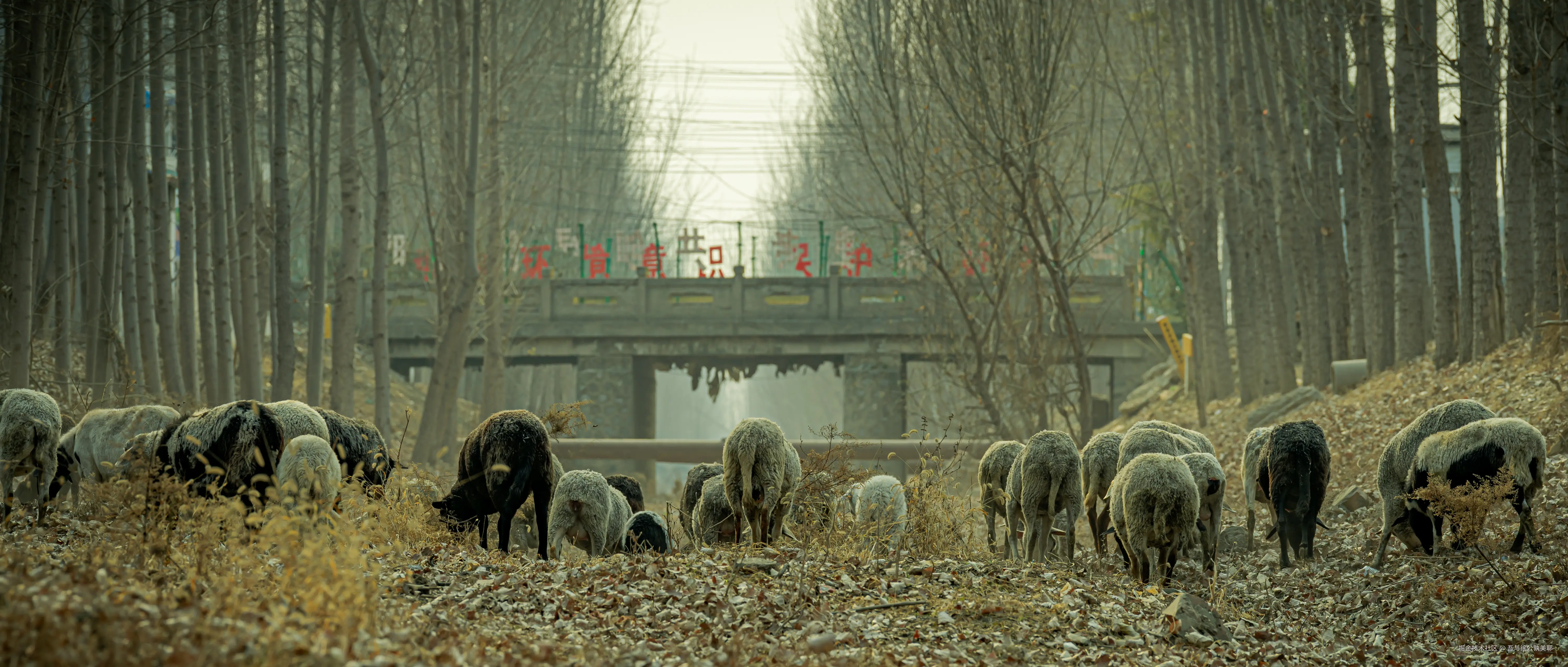 吾与徐公孰美耶于2025-02-12 14:59发布的图片