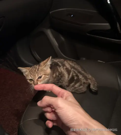 用户938161944181于2026-03-30 10:41发布的图片