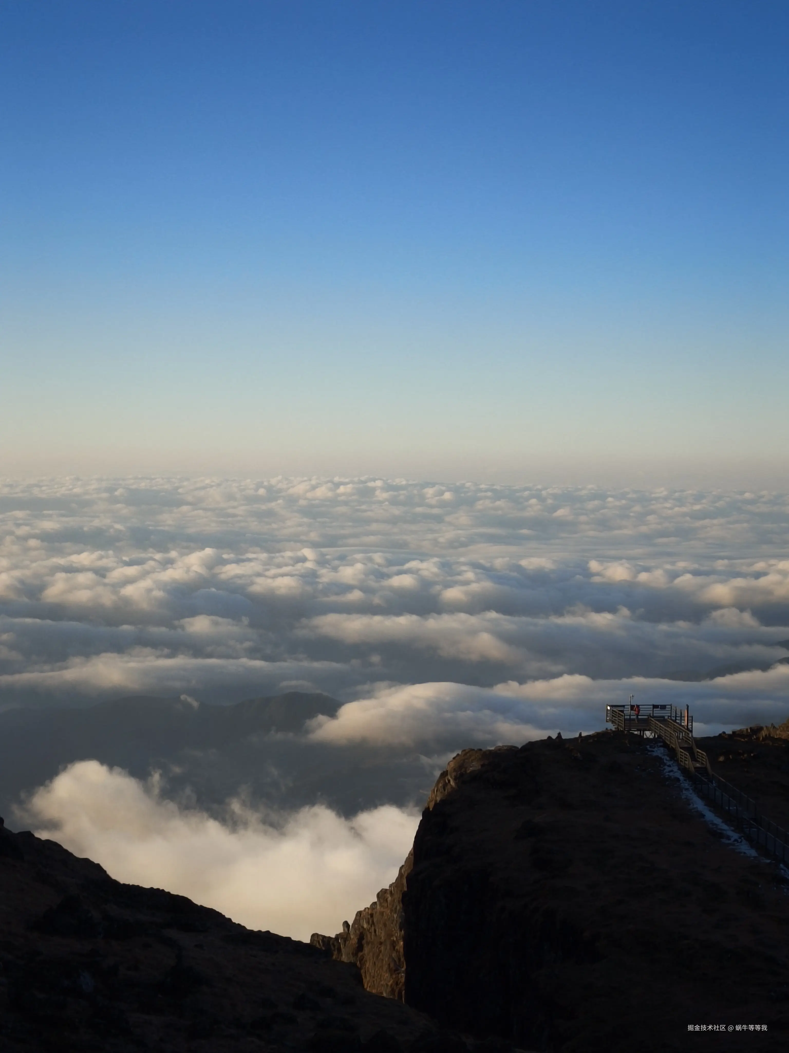 蜗牛等等我于2026-01-09 10:39发布的图片