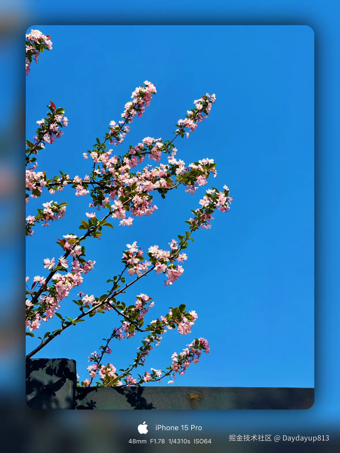 Daydayup813于2025-03-31 11:41发布的图片