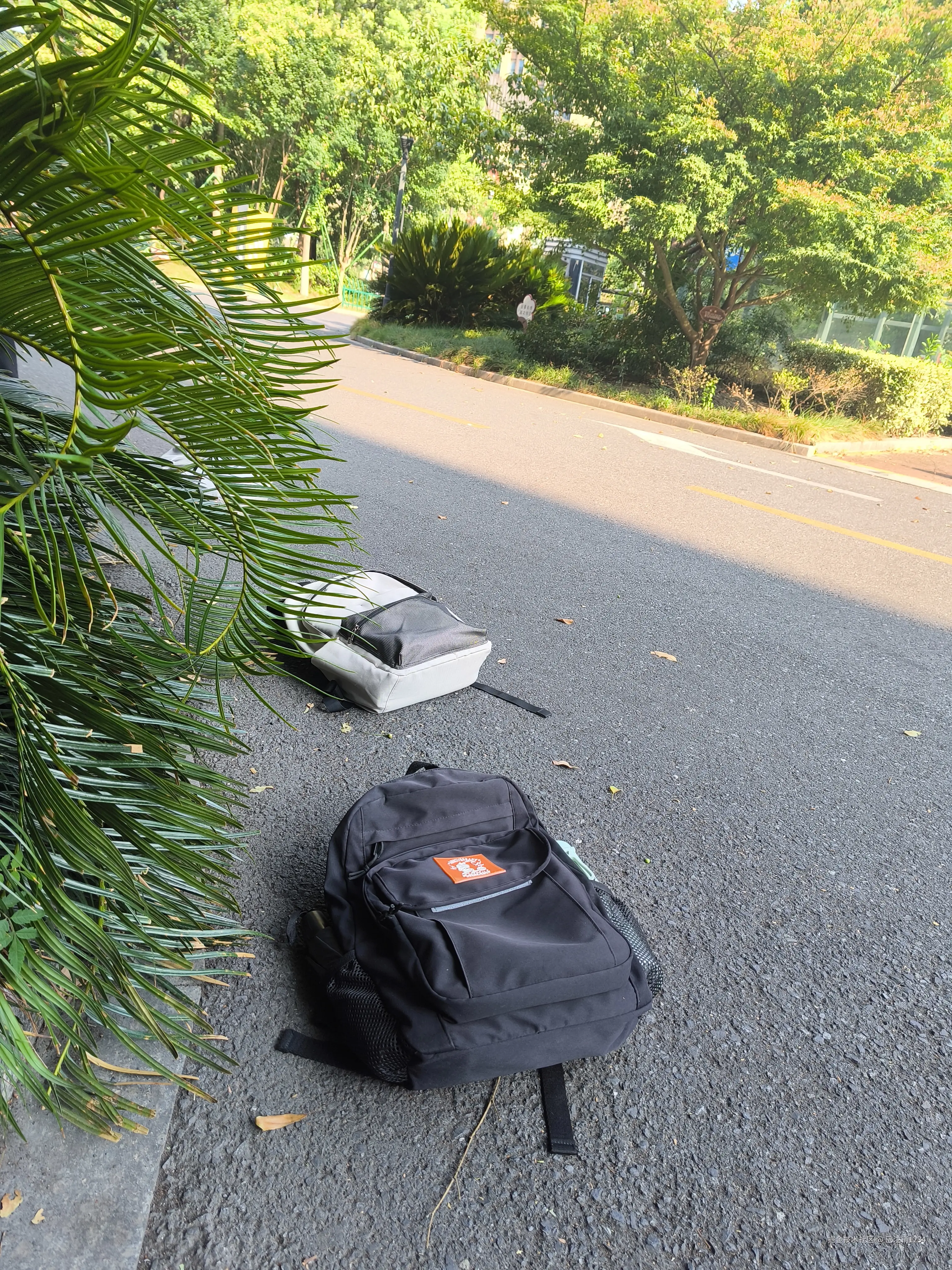 已注销1234于2024-08-09 08:23发布的图片