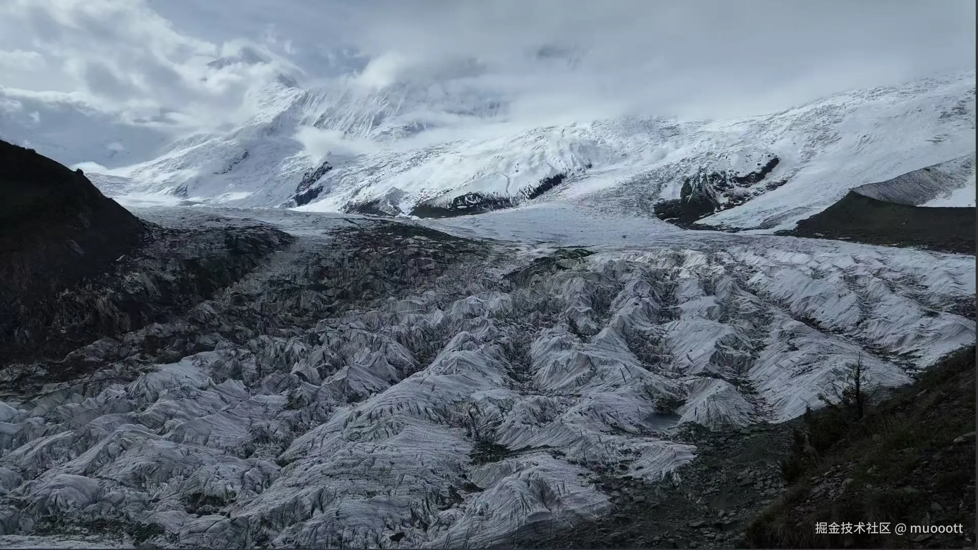 muooott于2025-06-13 10:08发布的图片