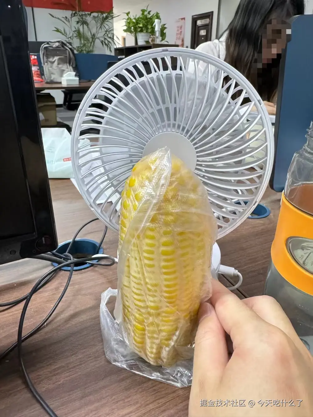 今天吃什么了于2024-08-30 11:44发布的图片