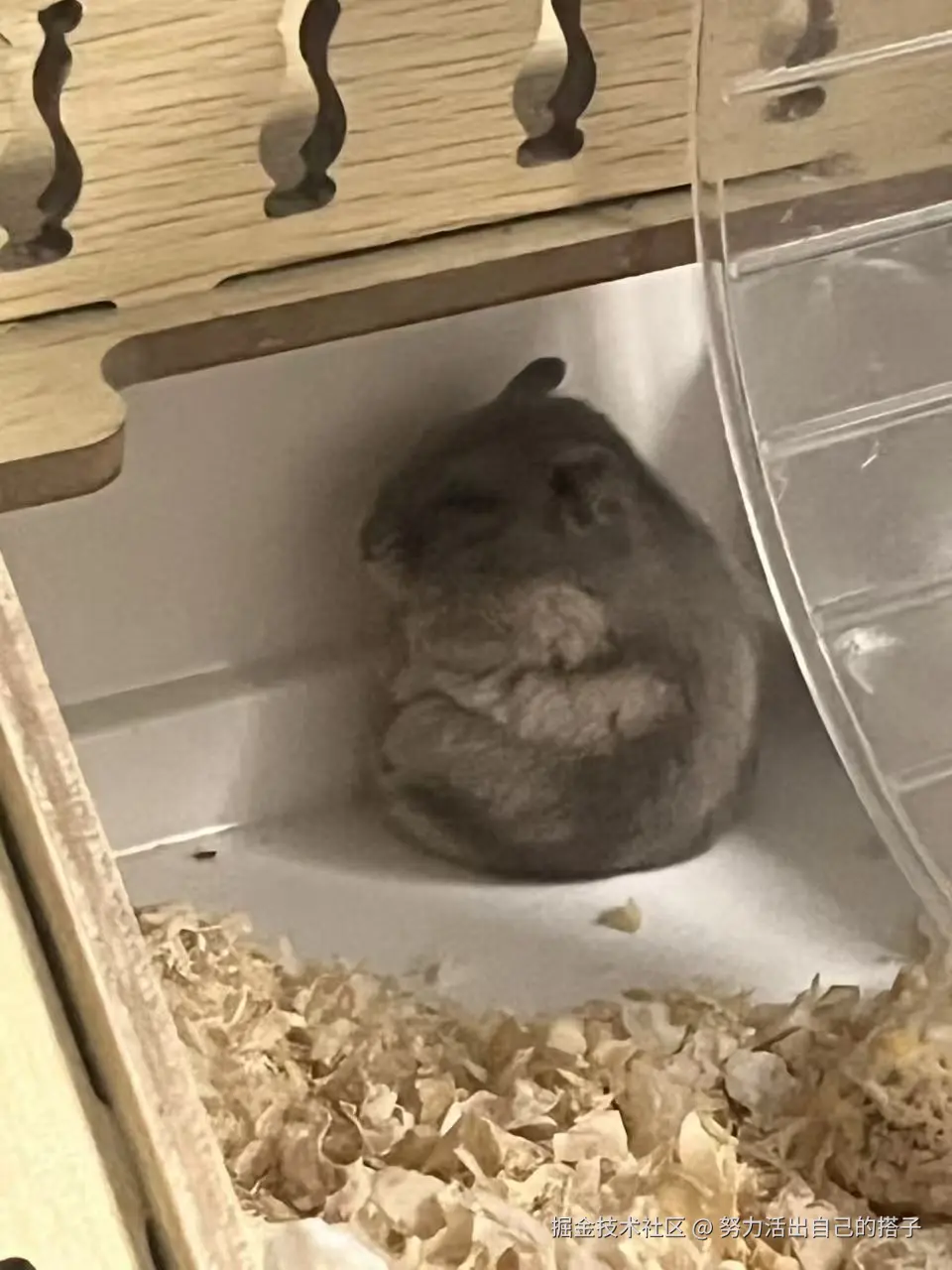 努力活出自己的搭子于2025-09-02 09:13发布的图片