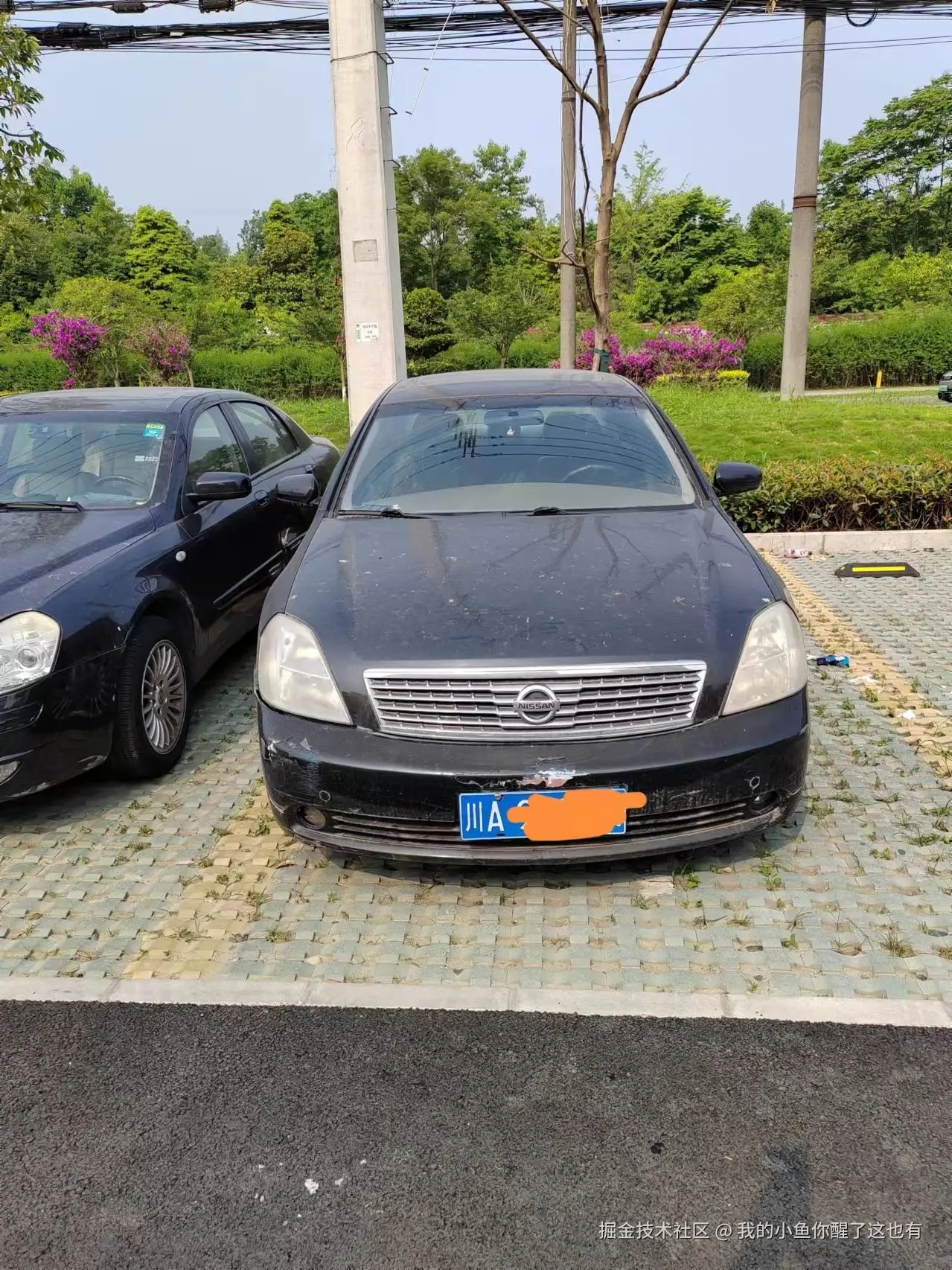 我的小鱼你醒了这也有于2025-08-15 16:38发布的图片