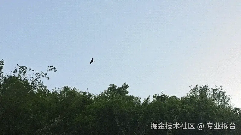 专业拆台于2026-04-13 15:18发布的图片