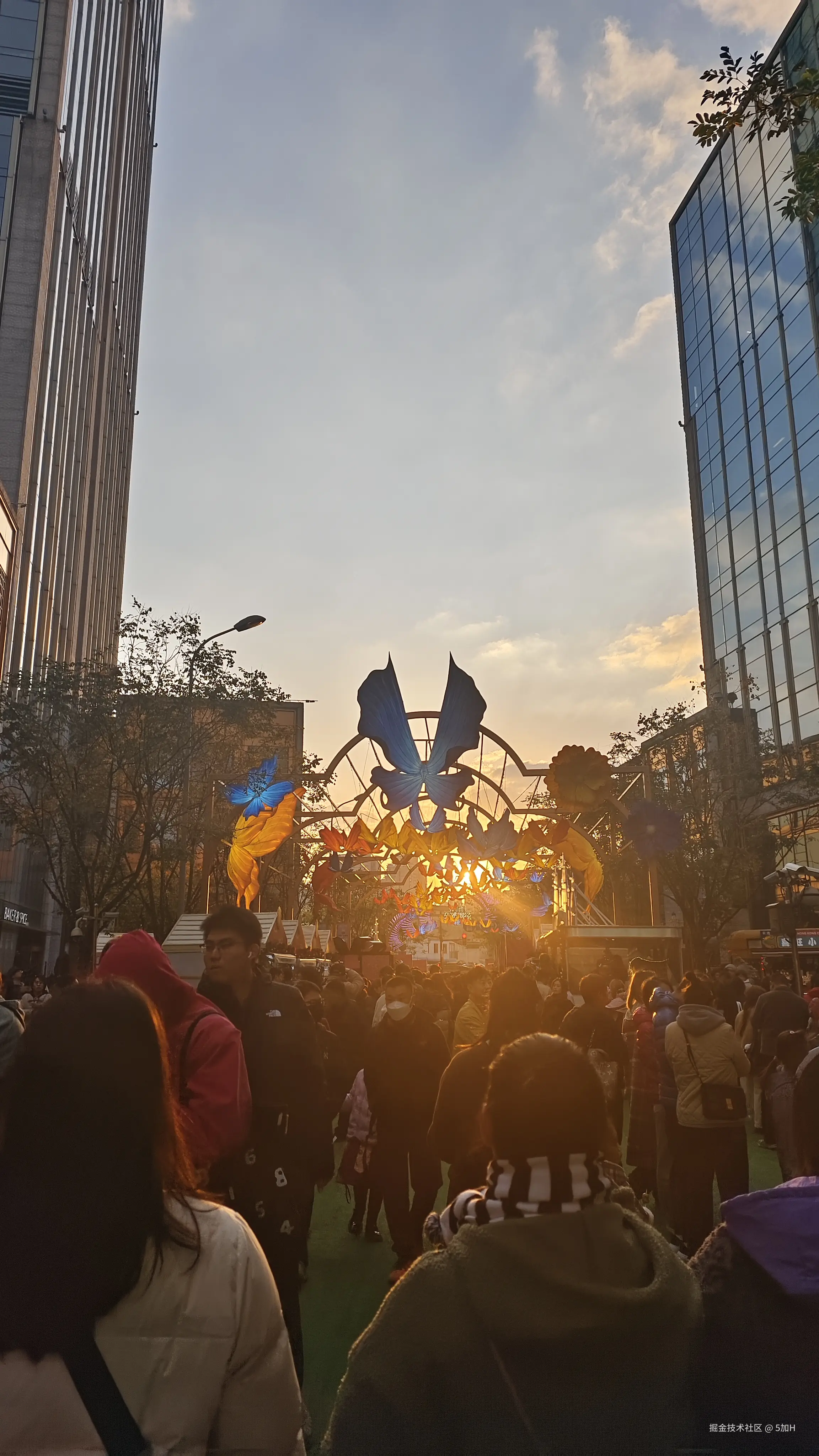 5加H于2024-12-09 10:30发布的图片