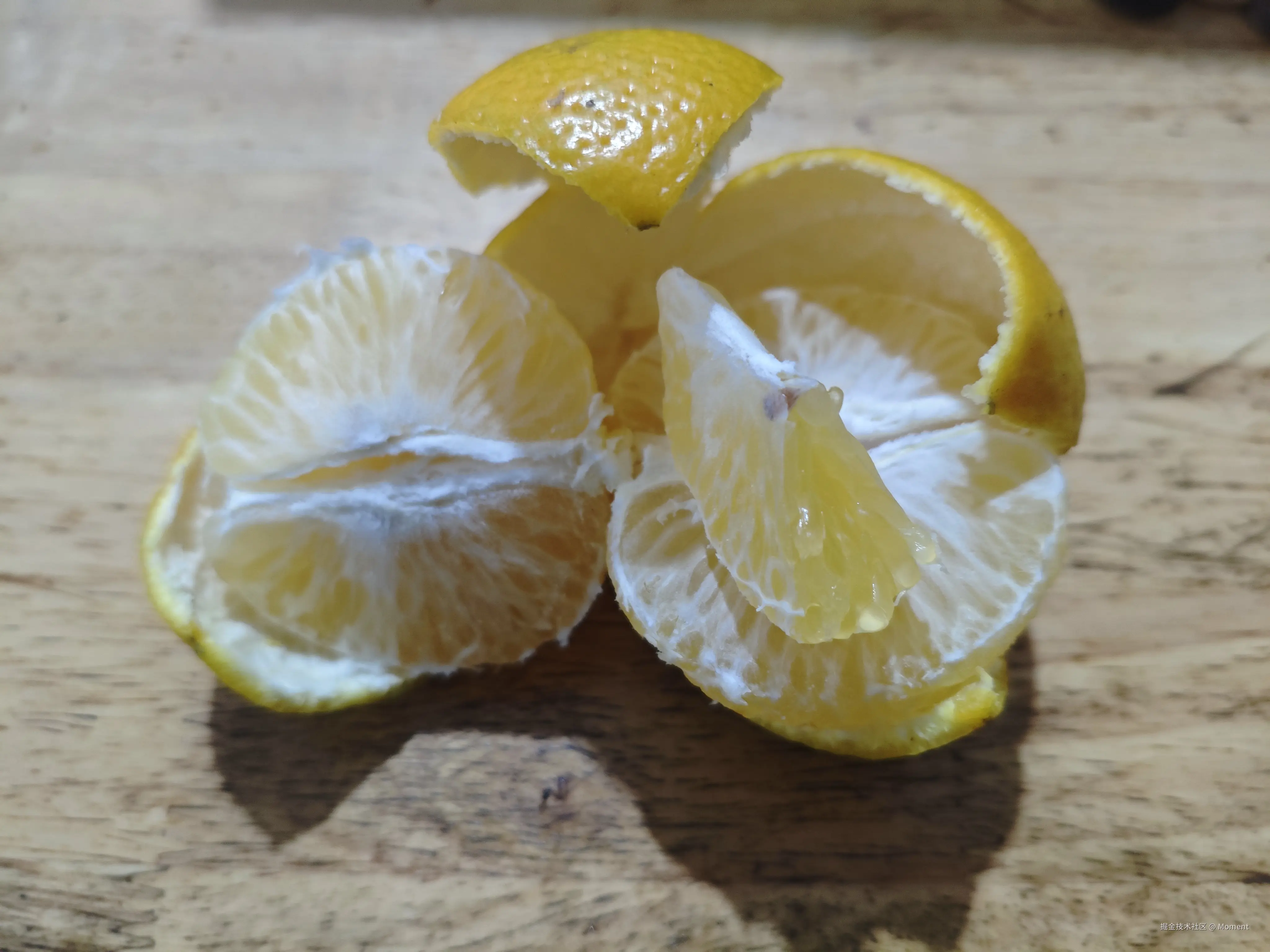 Moment于2025-12-16 10:46发布的图片