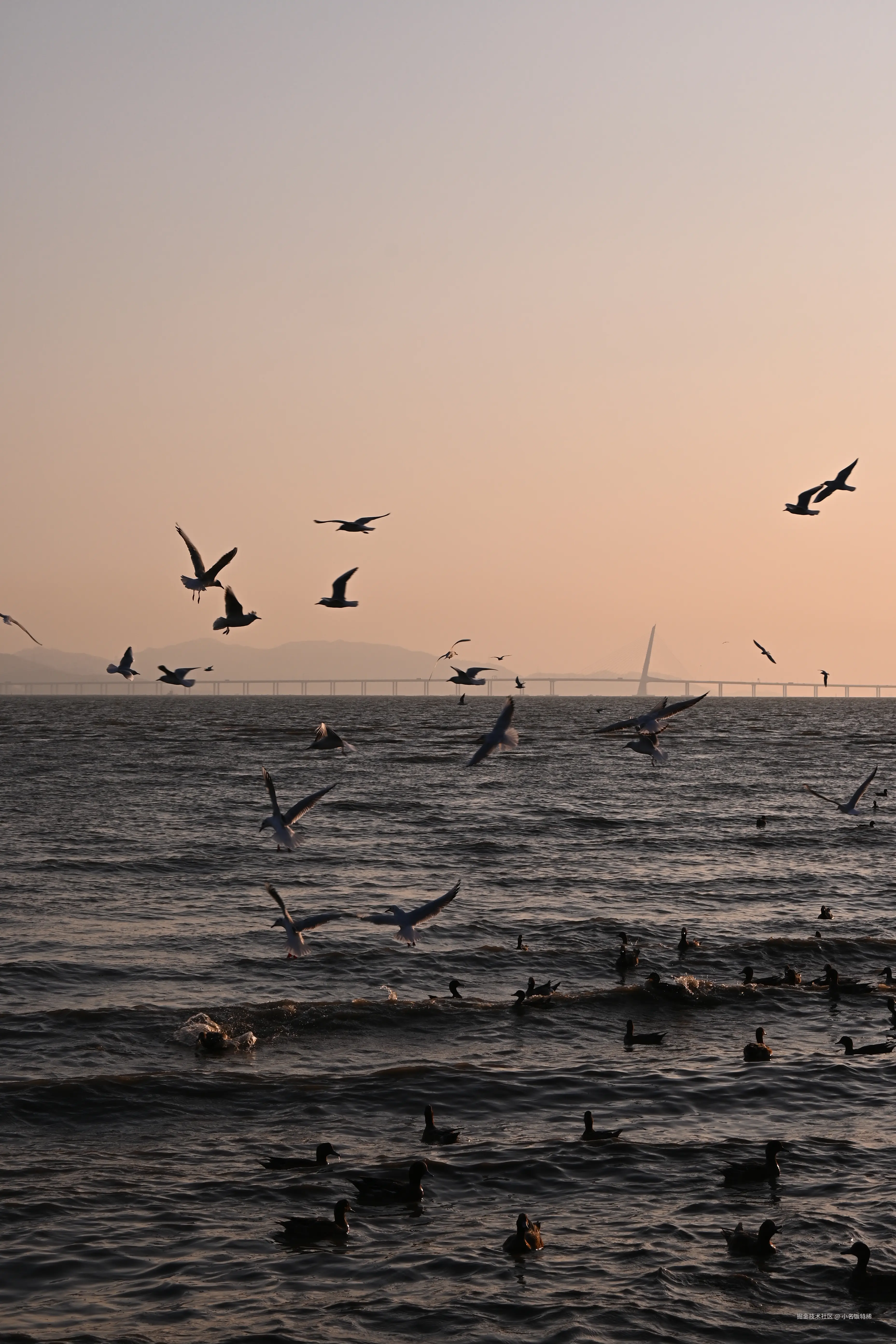 小名饭特稀于2025-11-17 09:53发布的图片