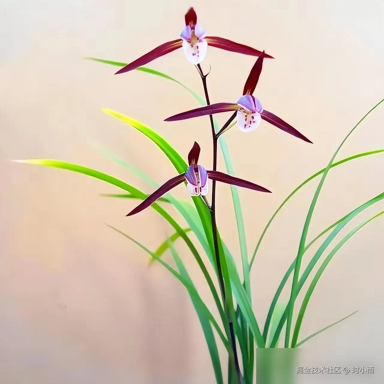 时小雨于2025-06-02 13:29发布的图片