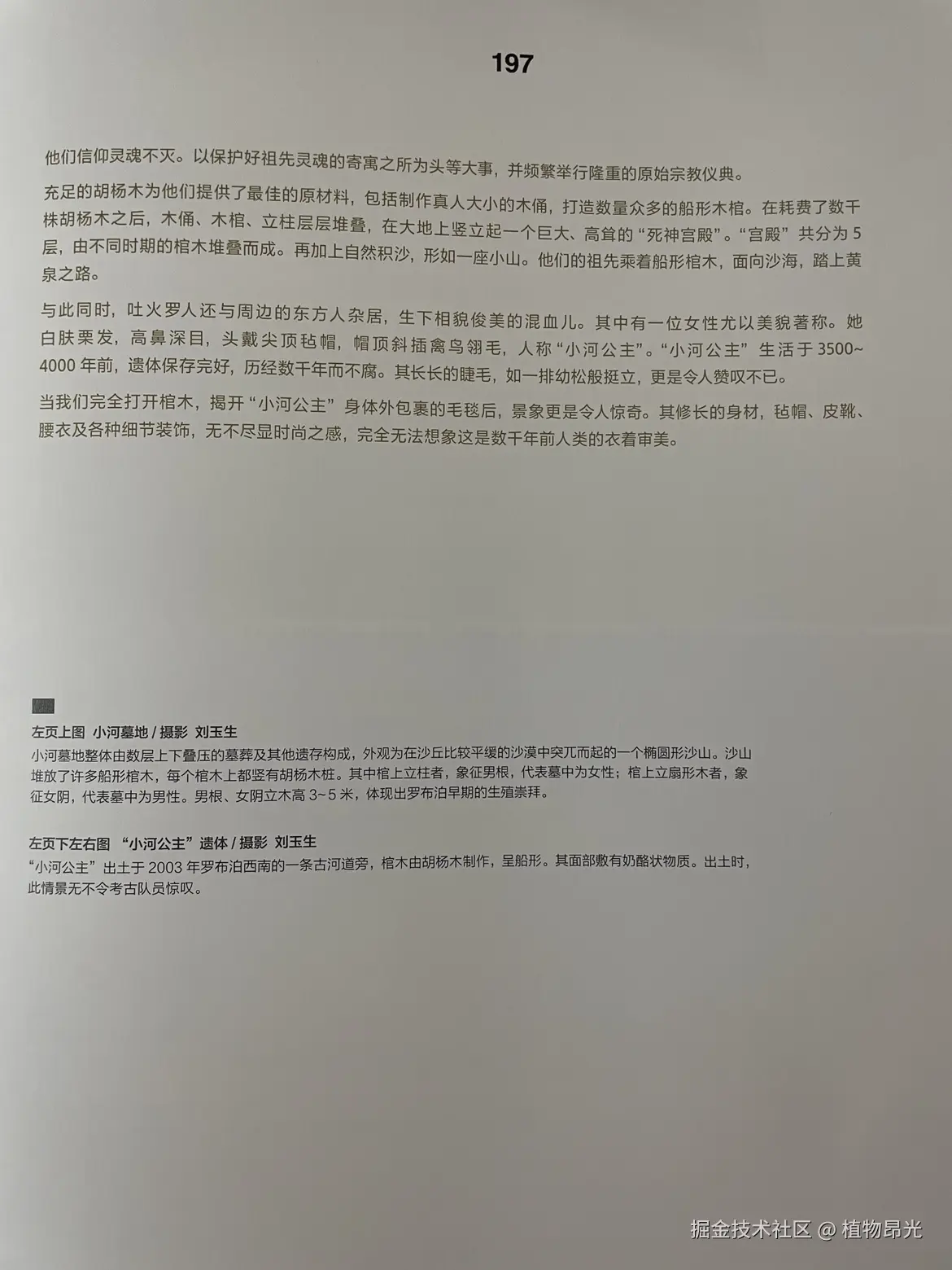 植物昂光于2026-03-21 11:00发布的图片