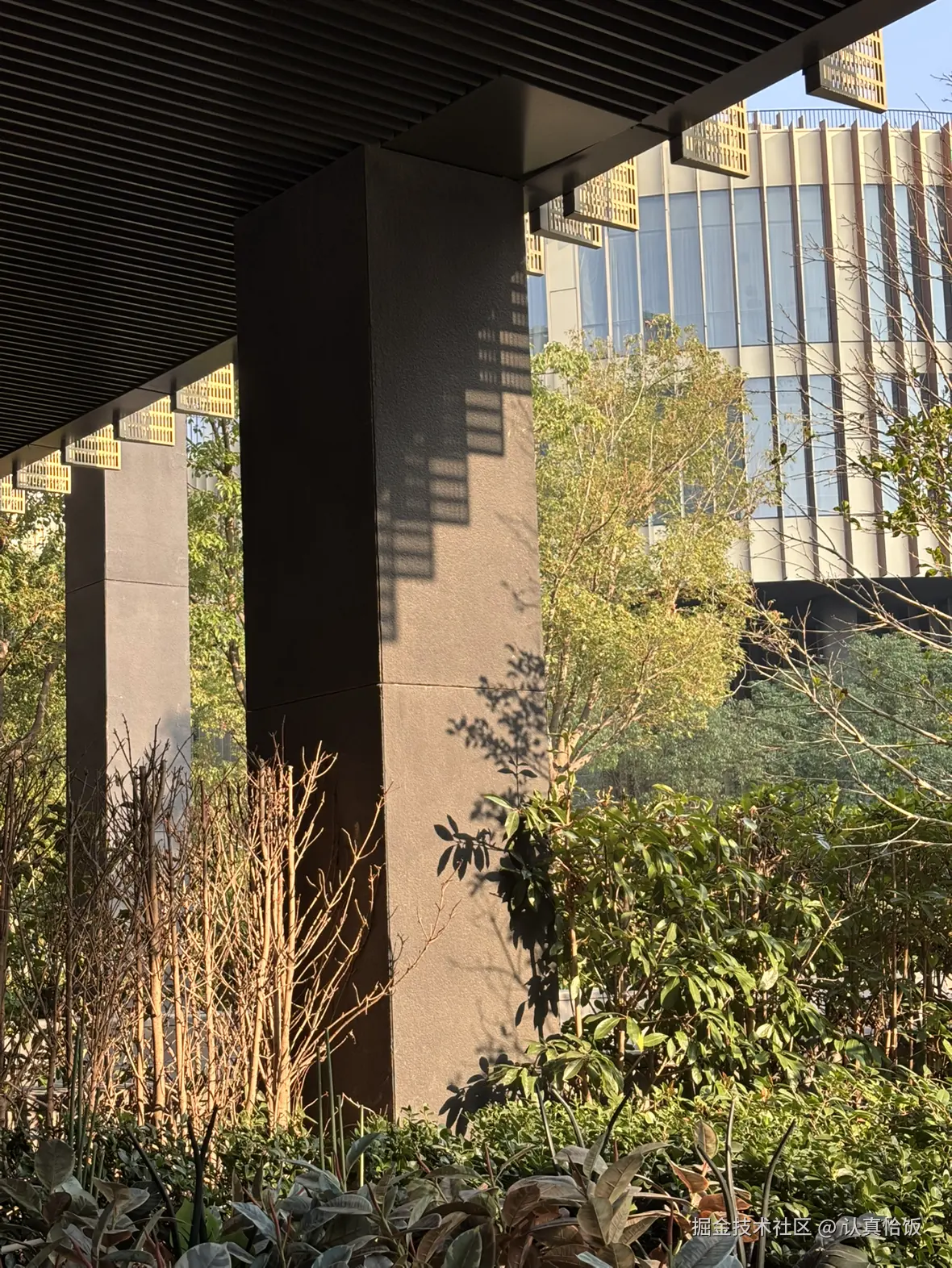 认真恰饭于2025-11-24 09:26发布的图片