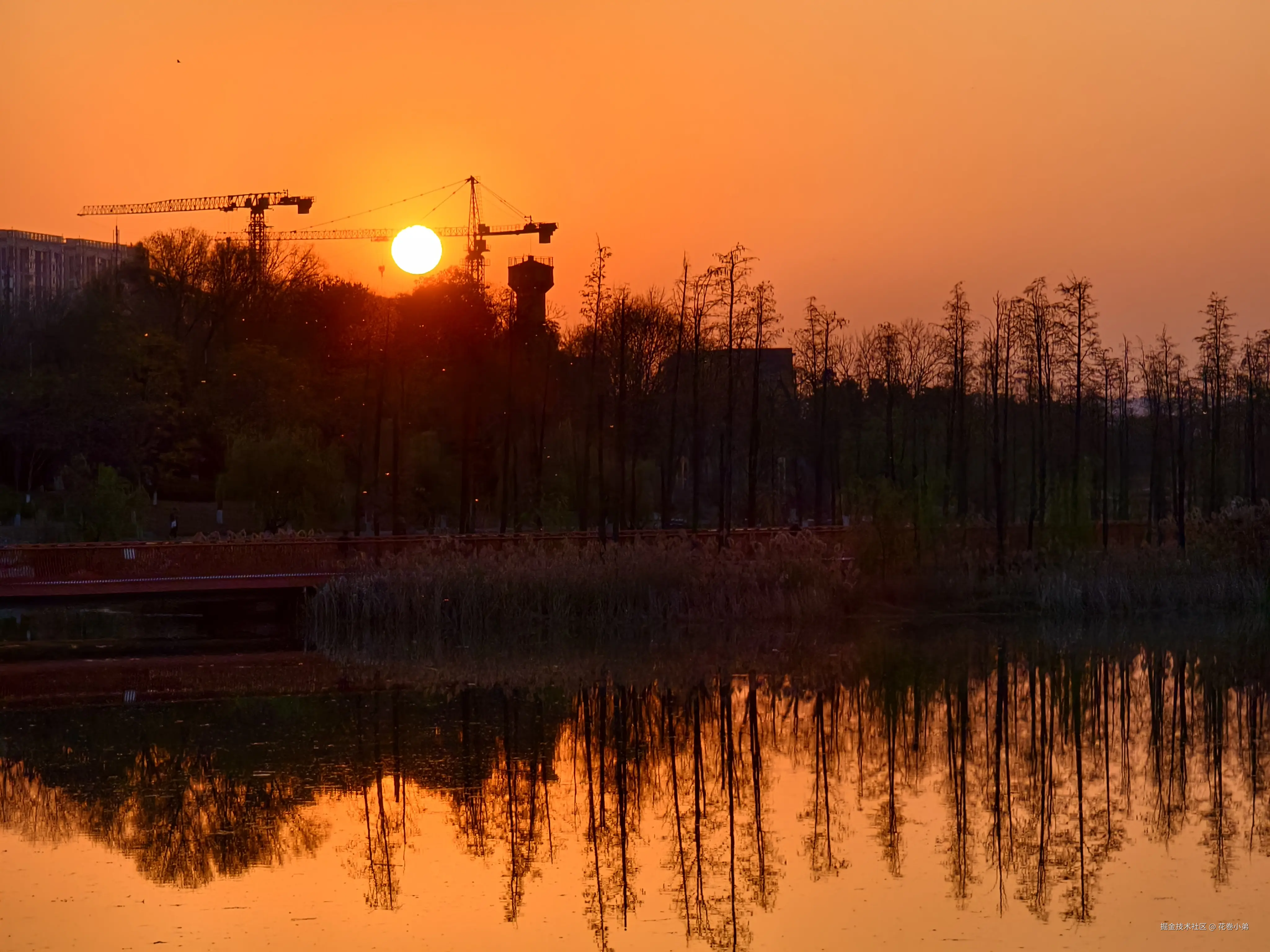 花卷小弟于2025-03-26 10:07发布的图片