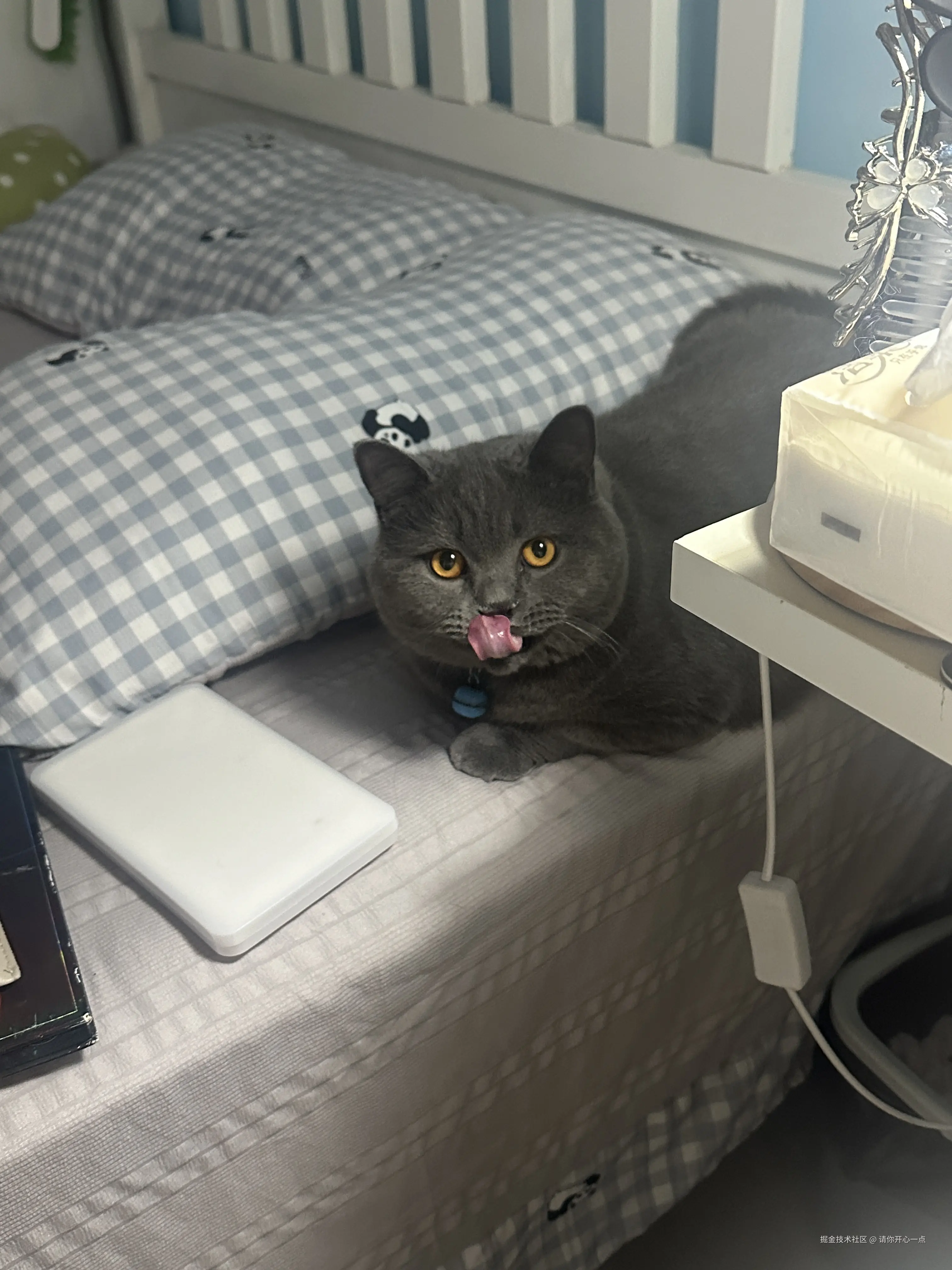 请你开心一点于2025-04-11 15:32发布的图片