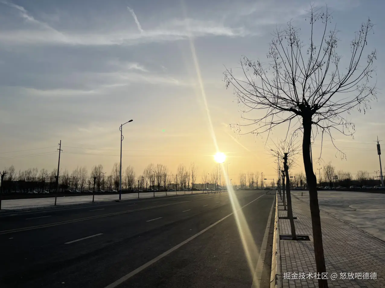 怒放吧德德于2025-03-08 18:35发布的图片