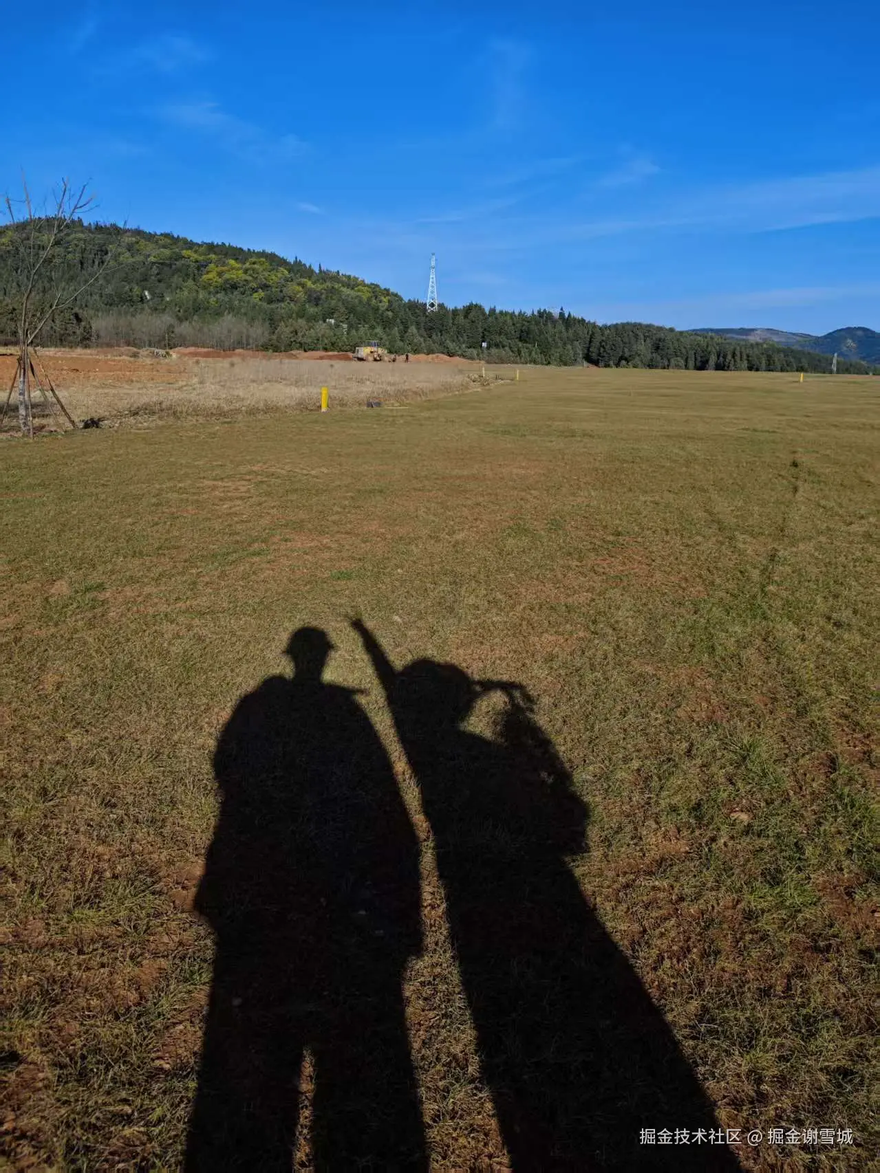 掘金谢雪城于2026-02-02 08:50发布的图片