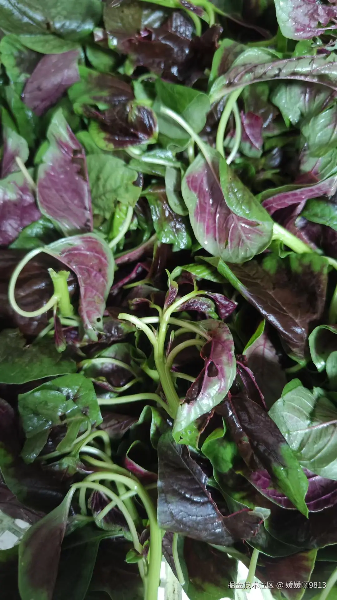 媛媛啊9813于2025-06-22 11:59发布的图片