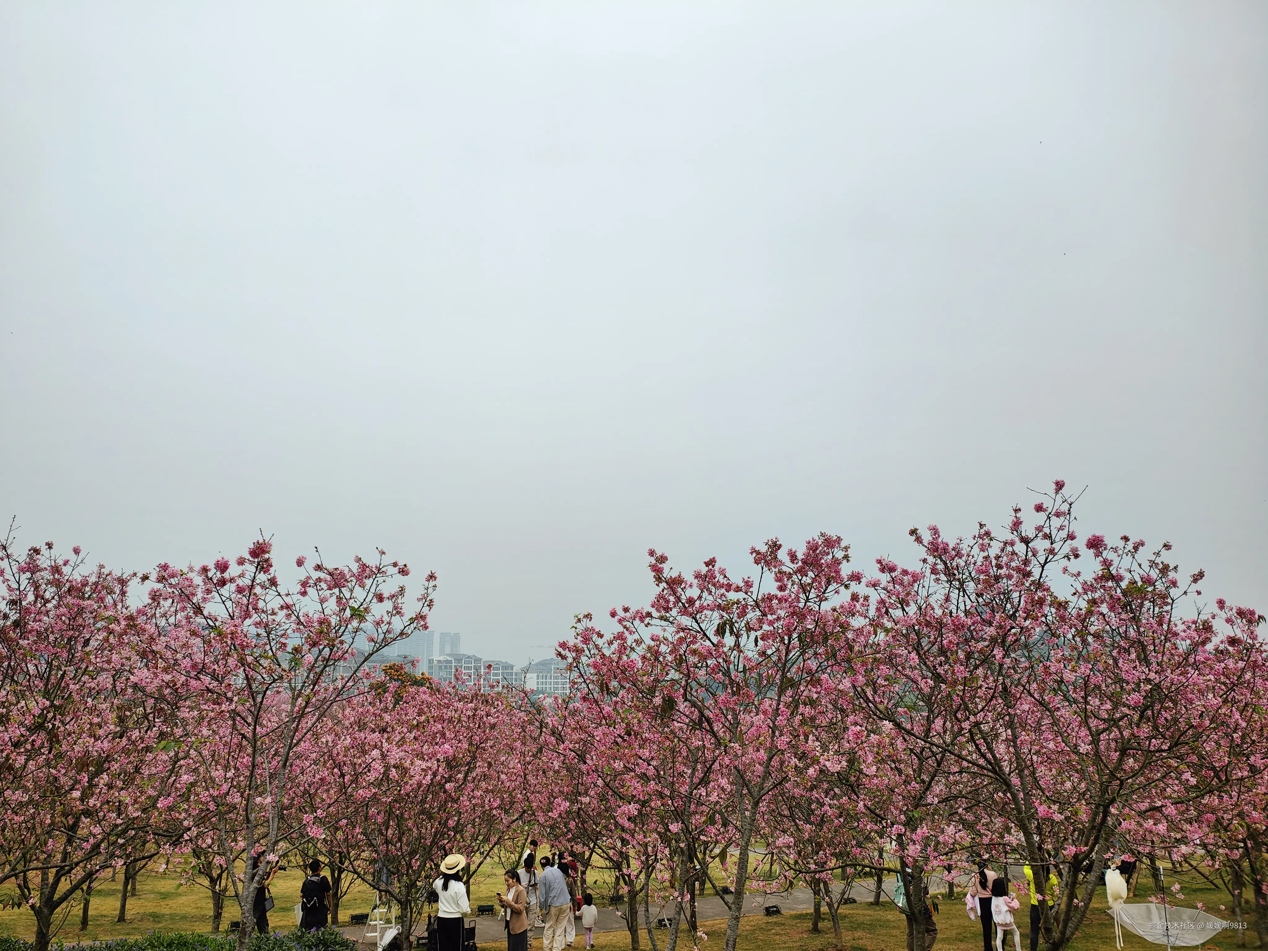 媛媛啊9813于2026-03-22 11:10发布的图片
