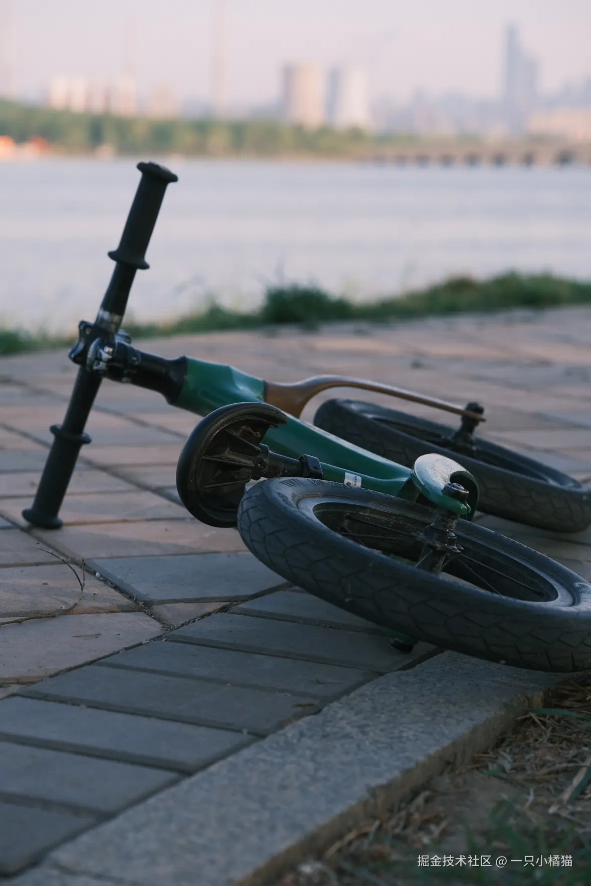 一只小橘猫于2025-04-21 11:16发布的图片