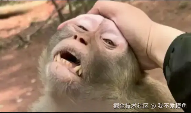 我不爱摸鱼于2024-08-22 01:23发布的图片