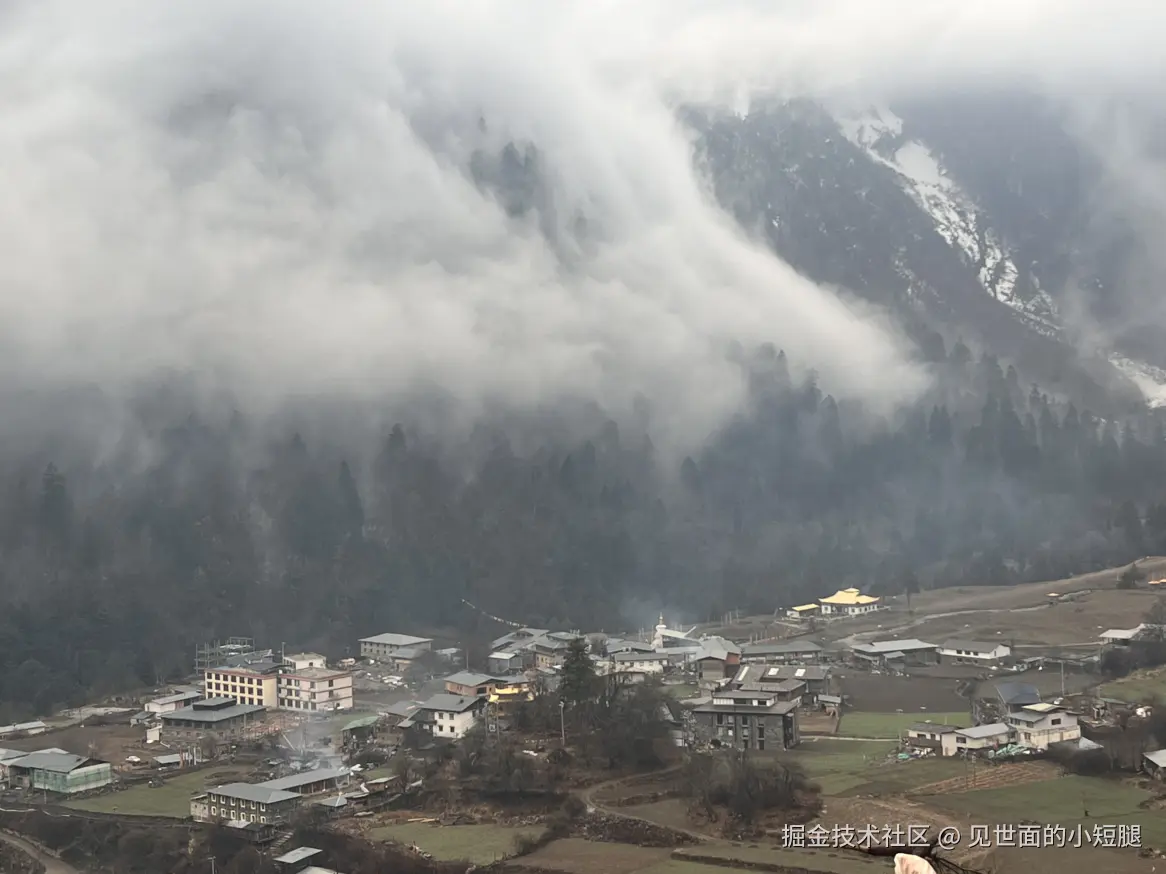 见世面的小短腿于2025-03-24 14:16发布的图片