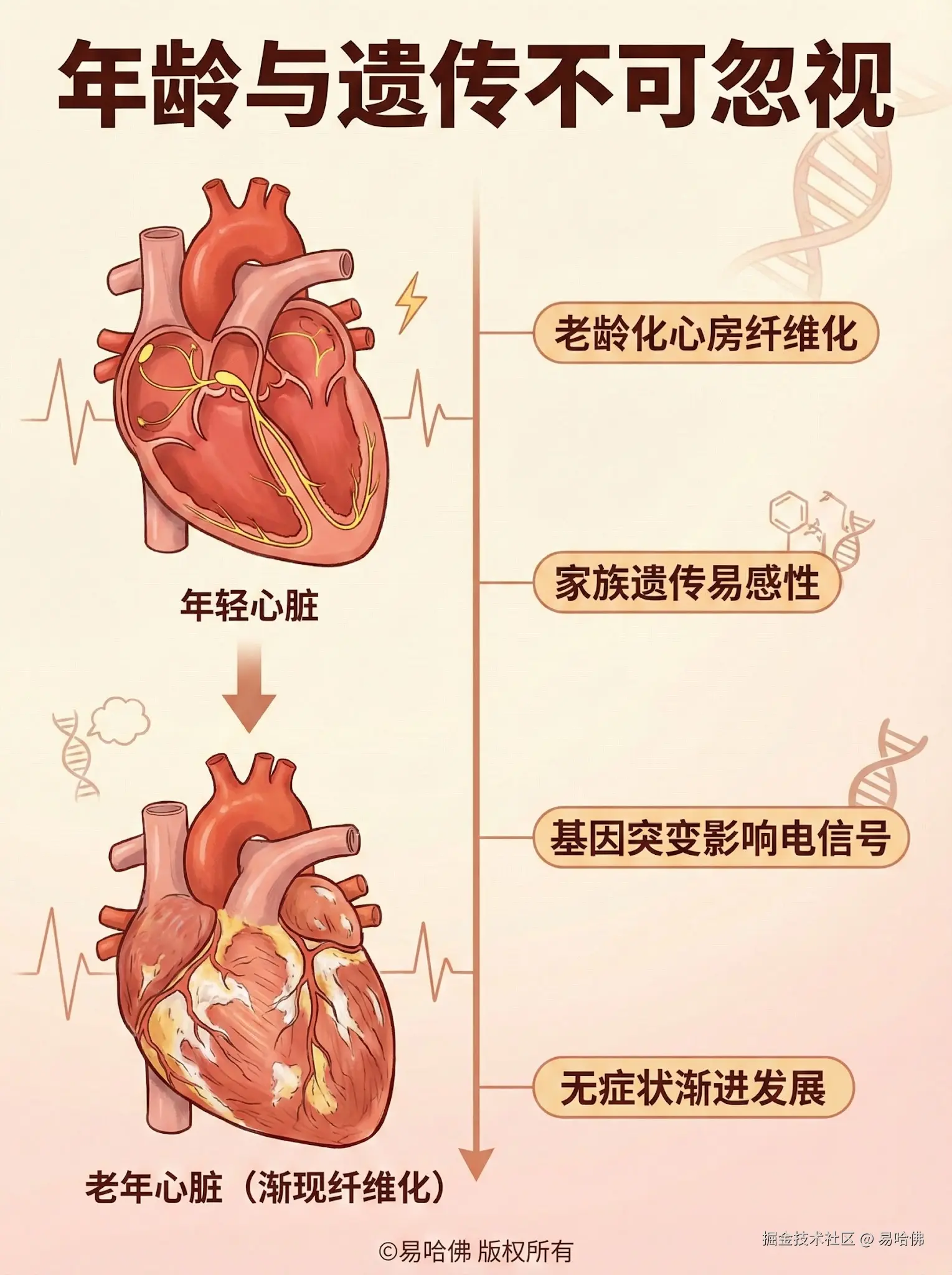 易哈佛于2026-01-04 10:45发布的图片