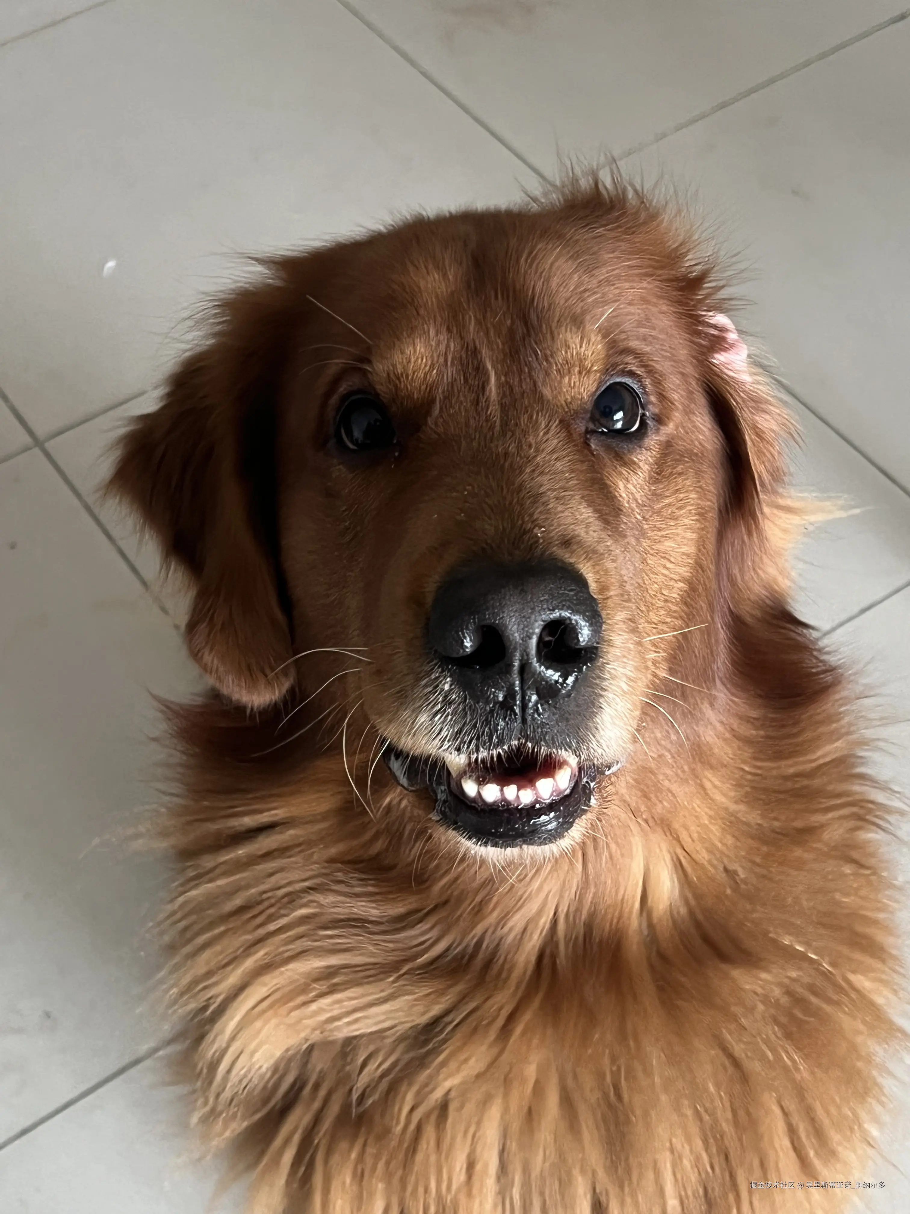 推荐系统自我学习