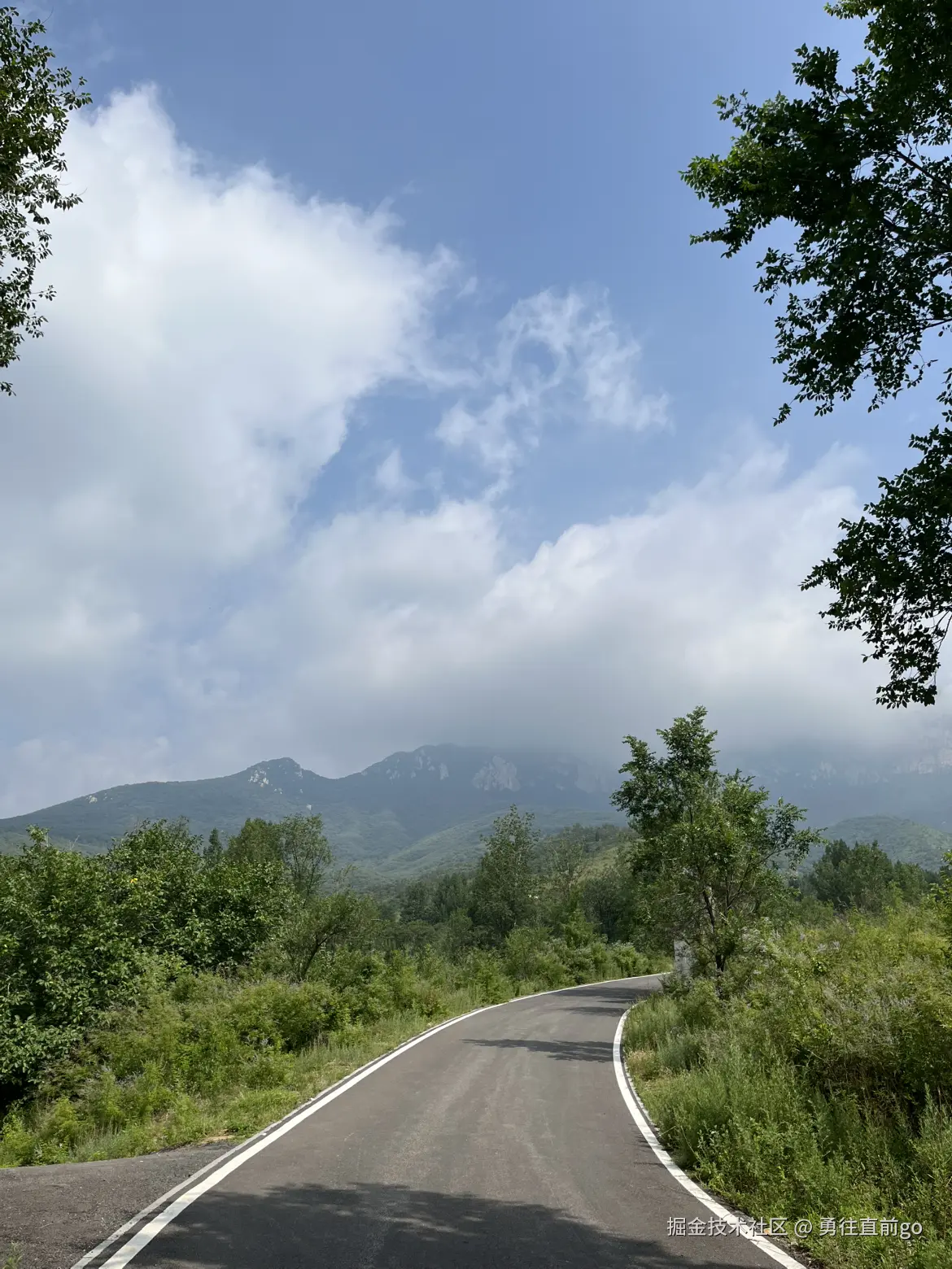 勇往直前go于2025-06-30 08:58发布的图片