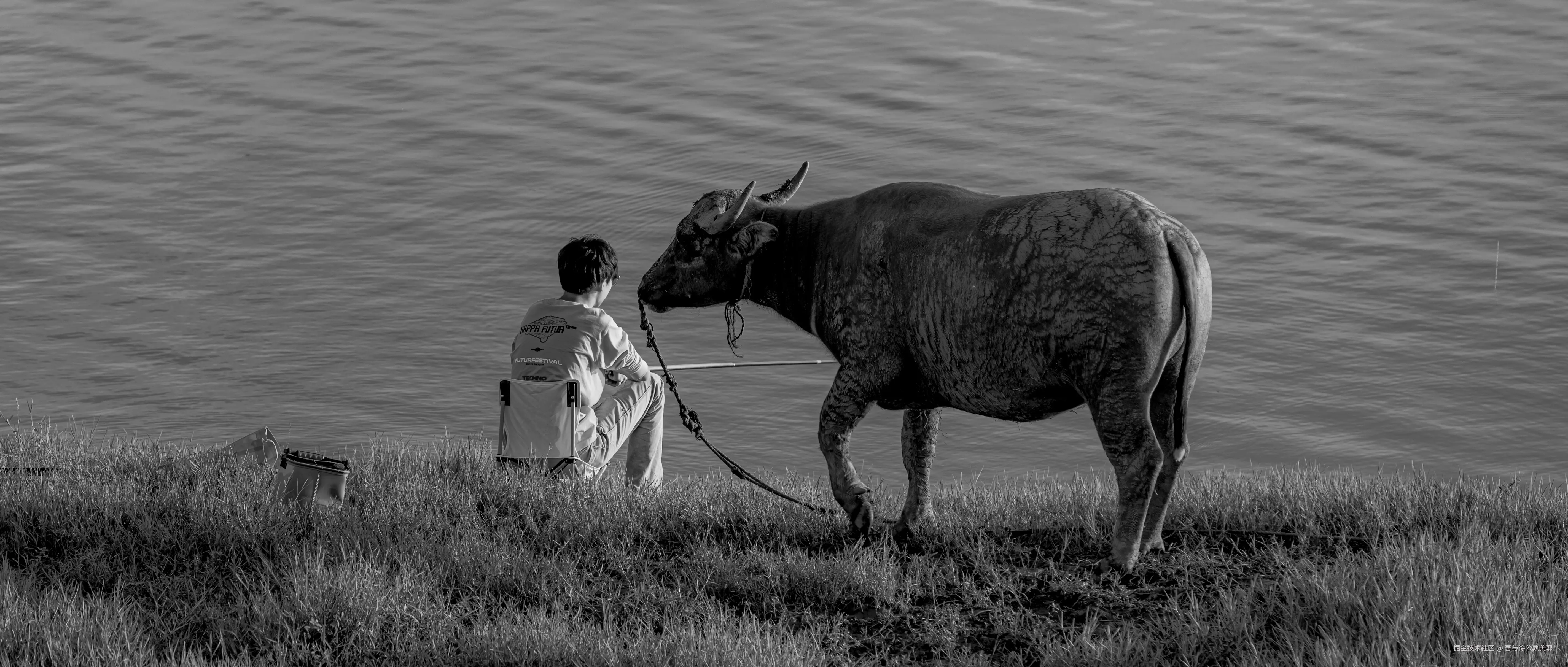 吾与徐公孰美耶于2024-09-29 14:29发布的图片