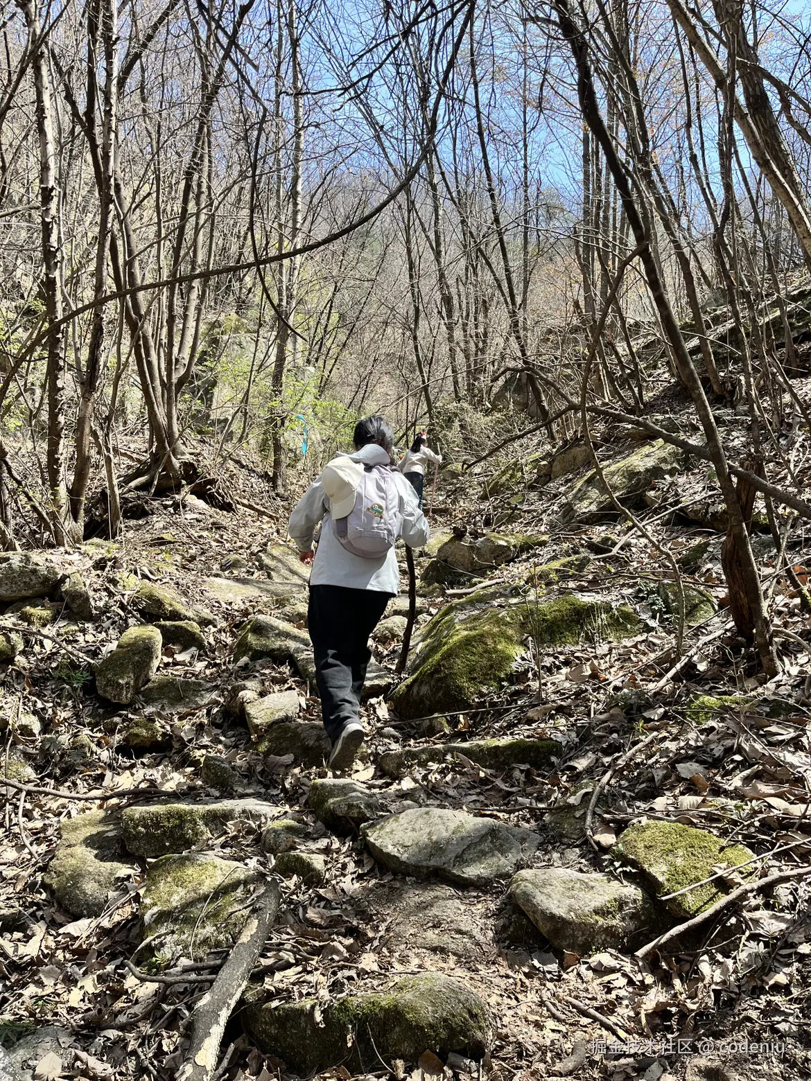 codeniu于2025-04-08 08:33发布的图片