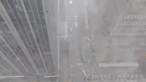 林林摸鱼专用于2024-09-16 16:37发布的图片
