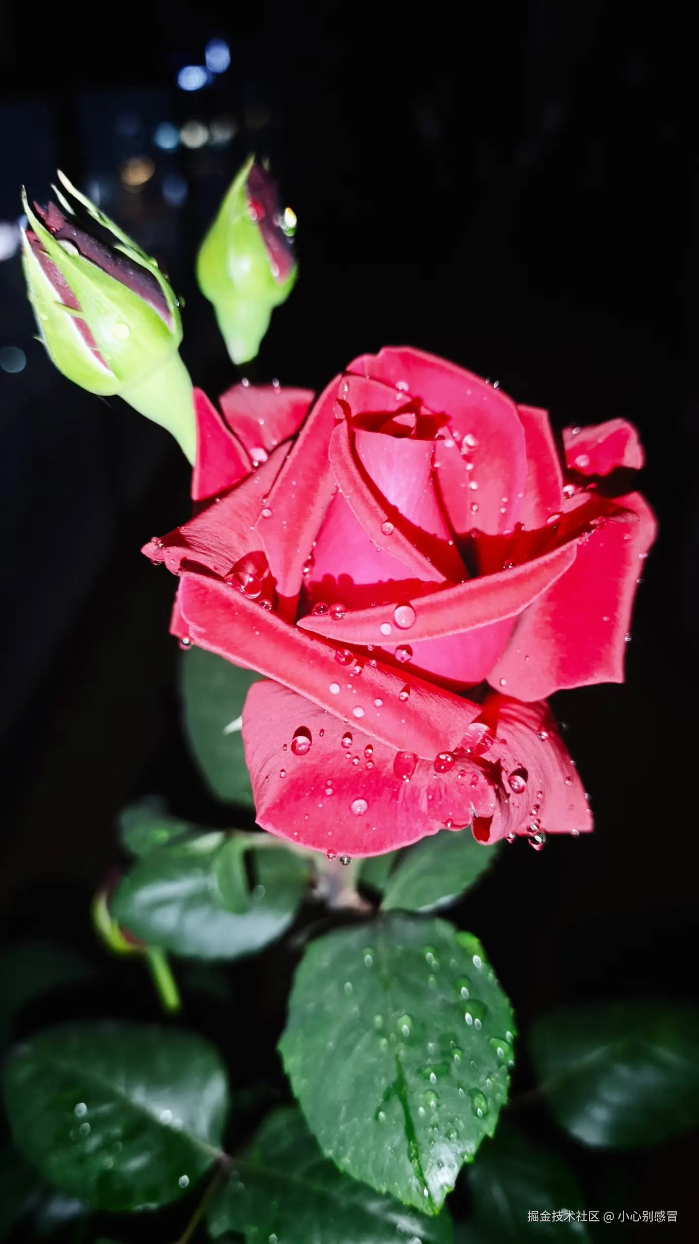 小心别感冒于2026-04-10 09:02发布的图片