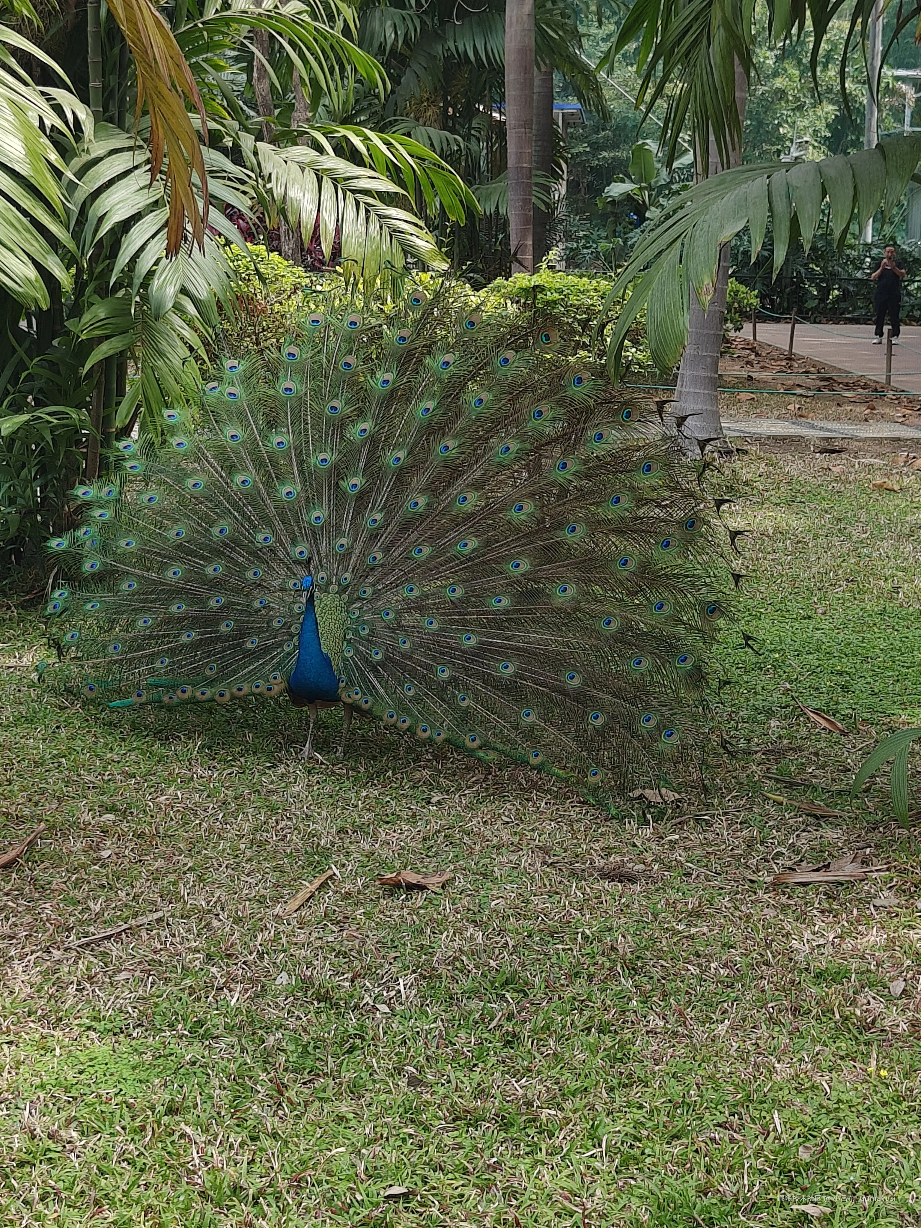 小吕布_Gumayusi于2025-03-03 09:36发布的图片