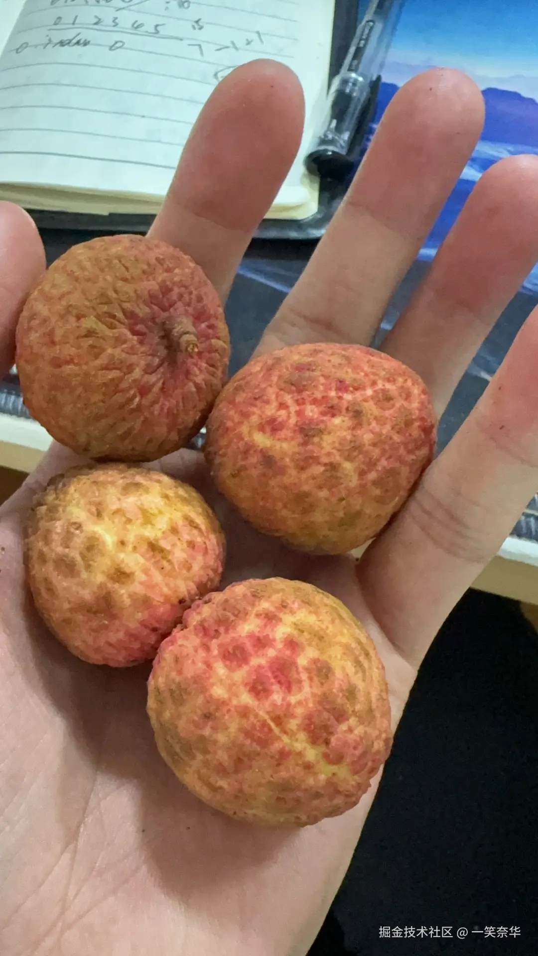 一笑奈华于2025-06-23 13:16发布的图片