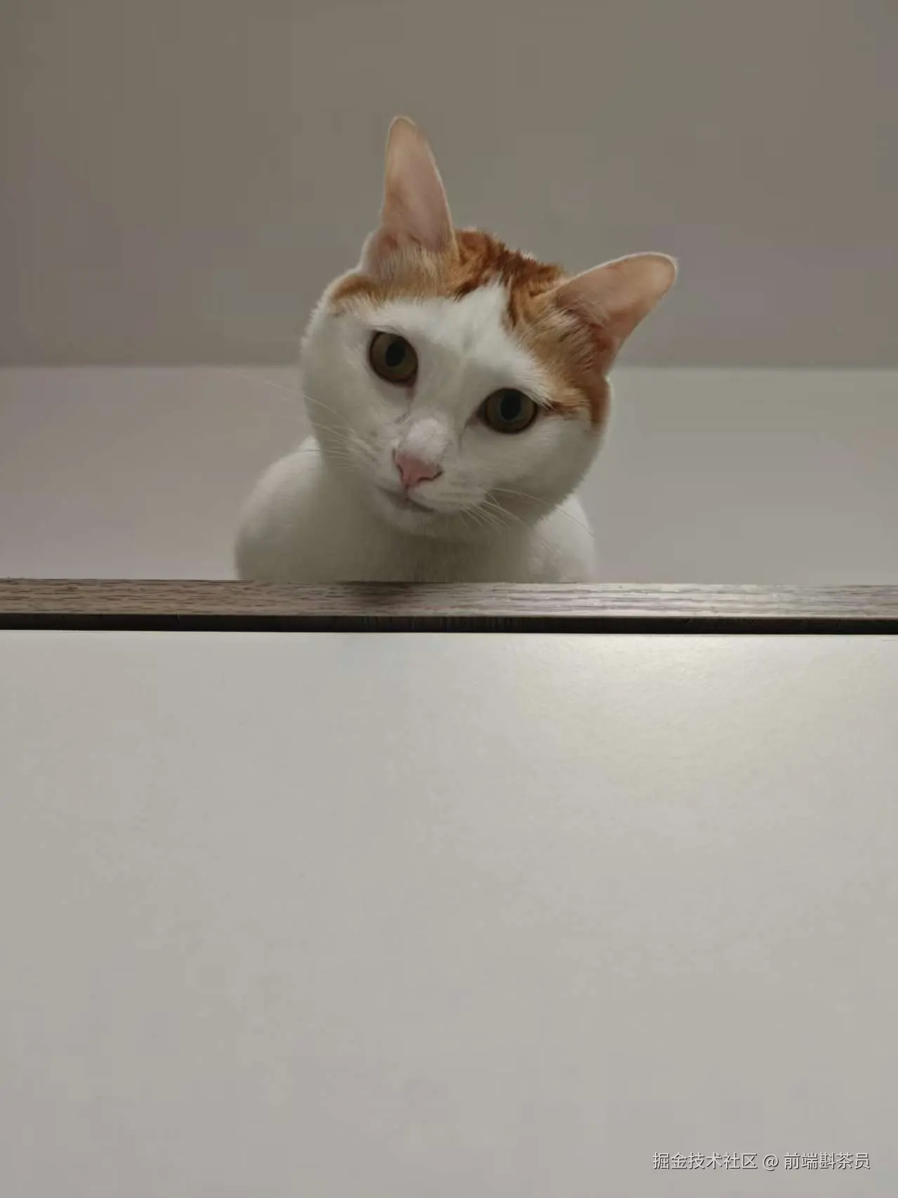 前端斟茶员于2025-10-24 09:16发布的图片