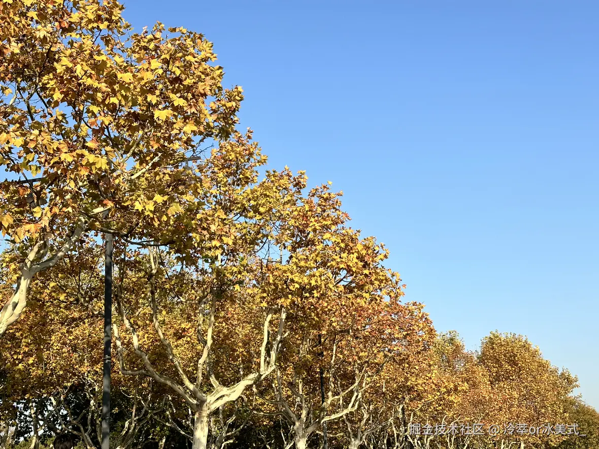 冷萃or冰美式_于2024-12-02 13:09发布的图片