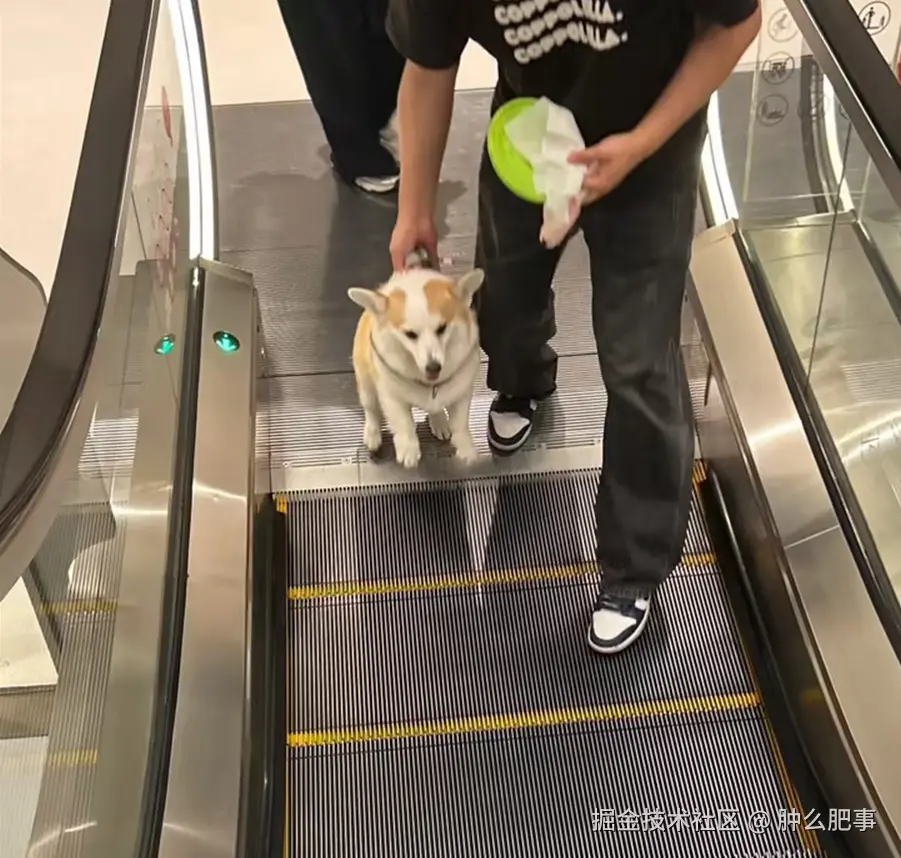 肿么肥事于2026-05-18 02:16发布的图片