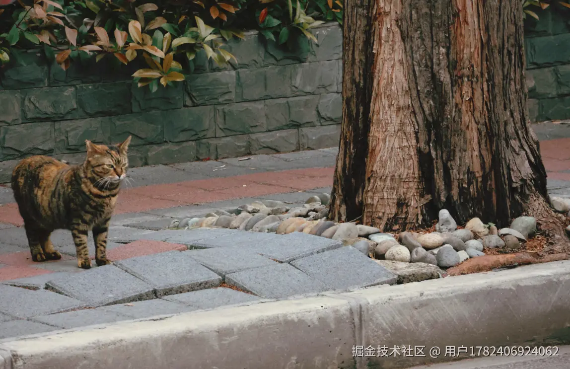 用户1782406924062于2026-04-08 02:09发布的图片