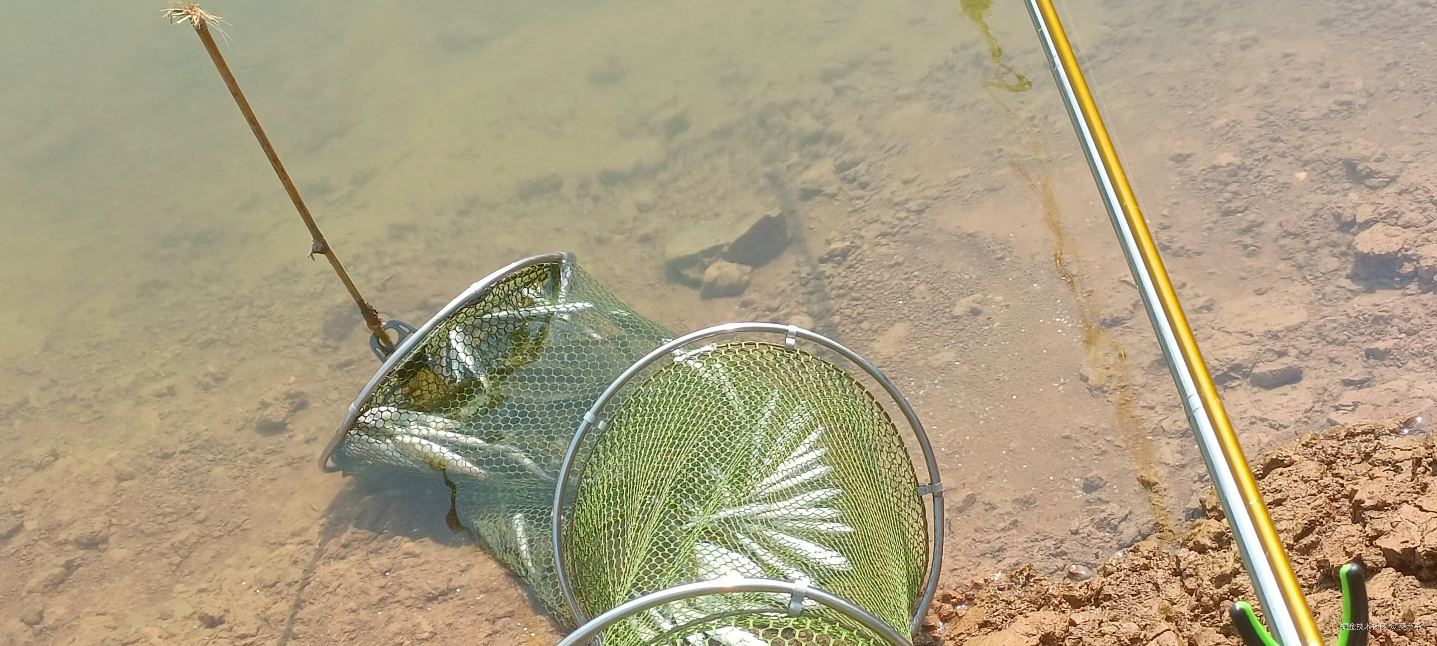 莫奈子于2025-04-01 14:49发布的图片