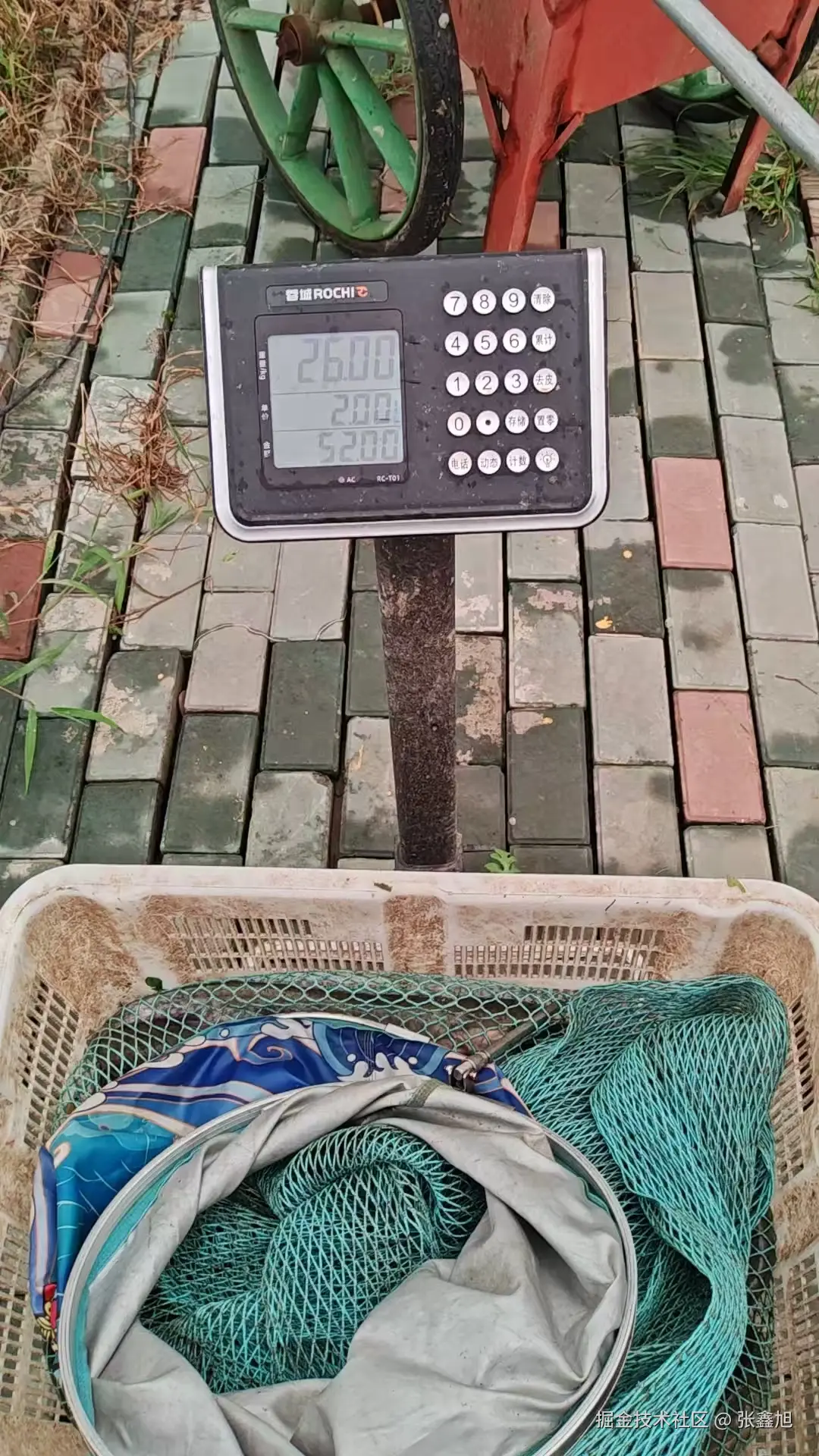张鑫旭于2025-08-06 06:20发布的图片