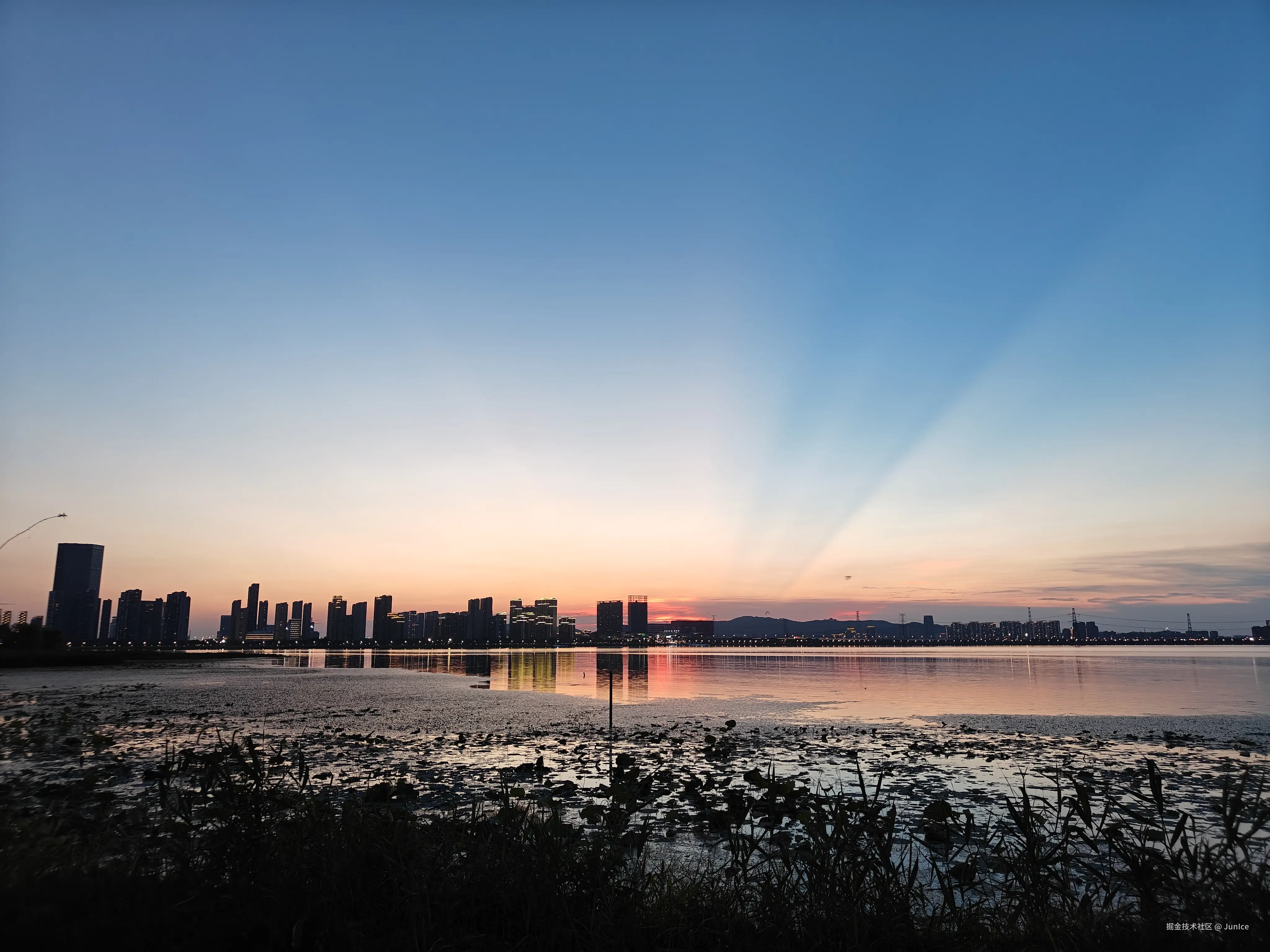 JunIce于2024-09-02 07:43发布的图片