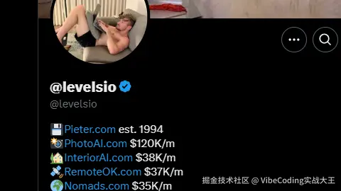 独立开发成功案例解析