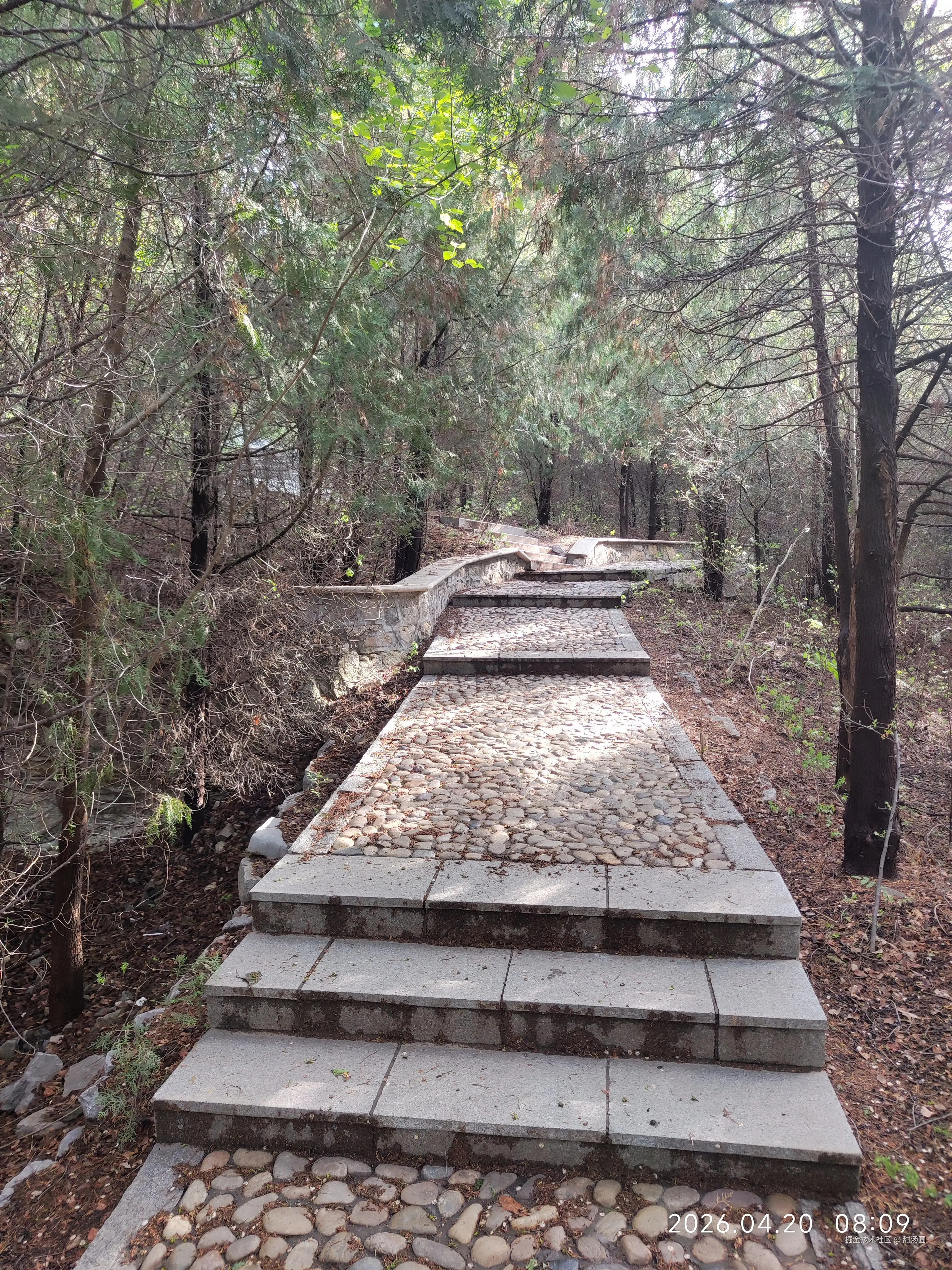 甜汤圆于2026-04-20 08:35发布的图片