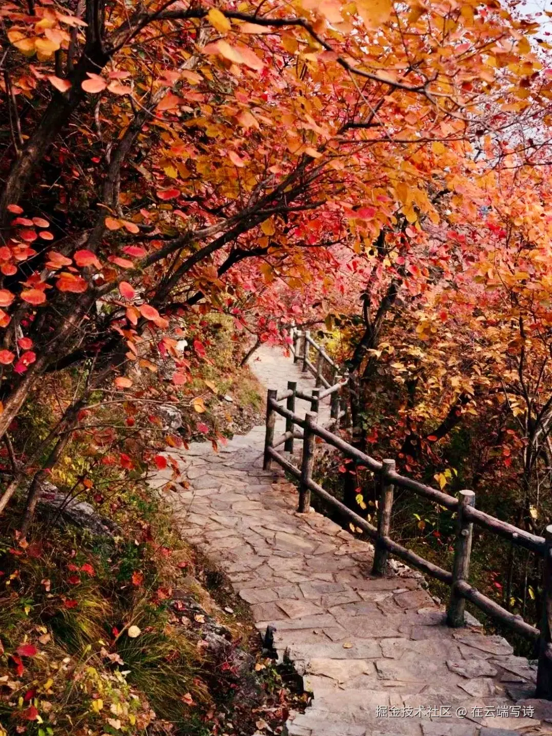 在云端写诗于2025-10-27 10:27发布的图片