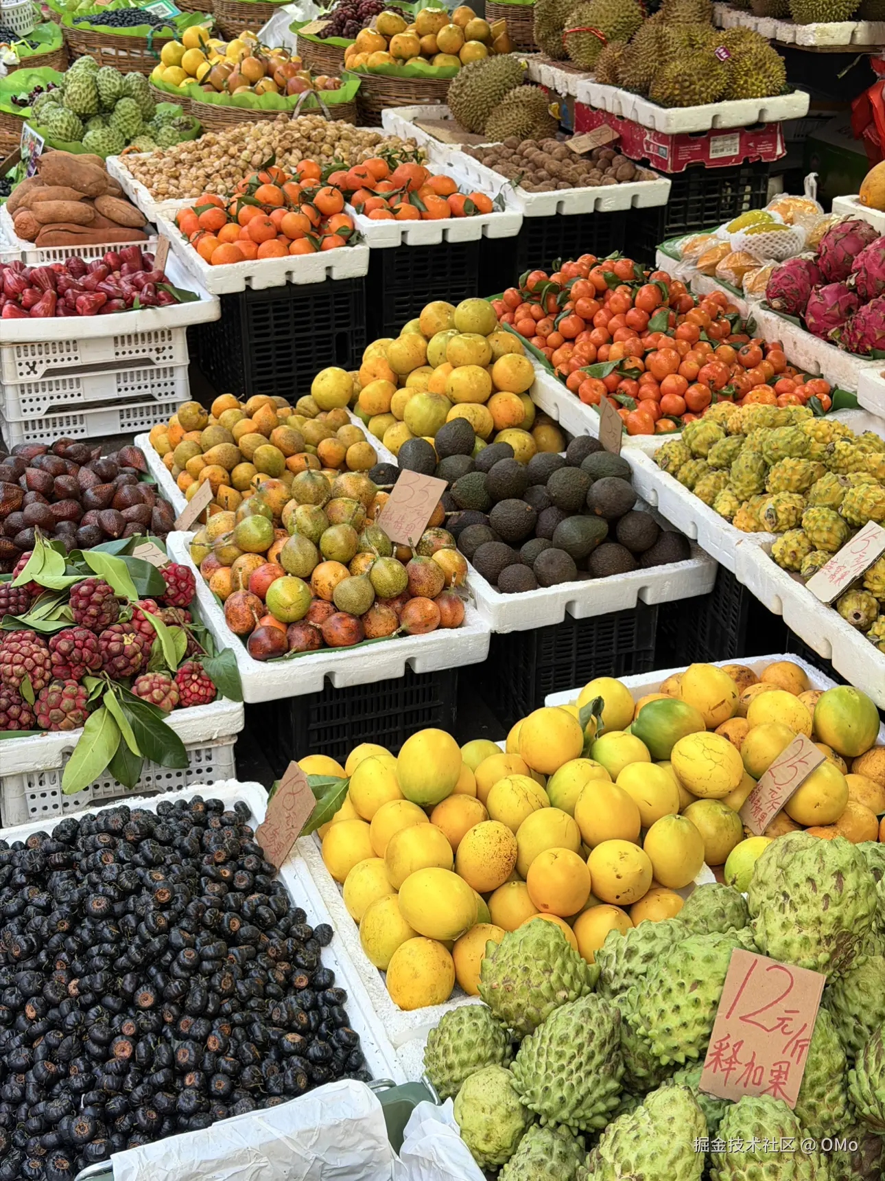 OMo于2026-01-22 11:03发布的图片