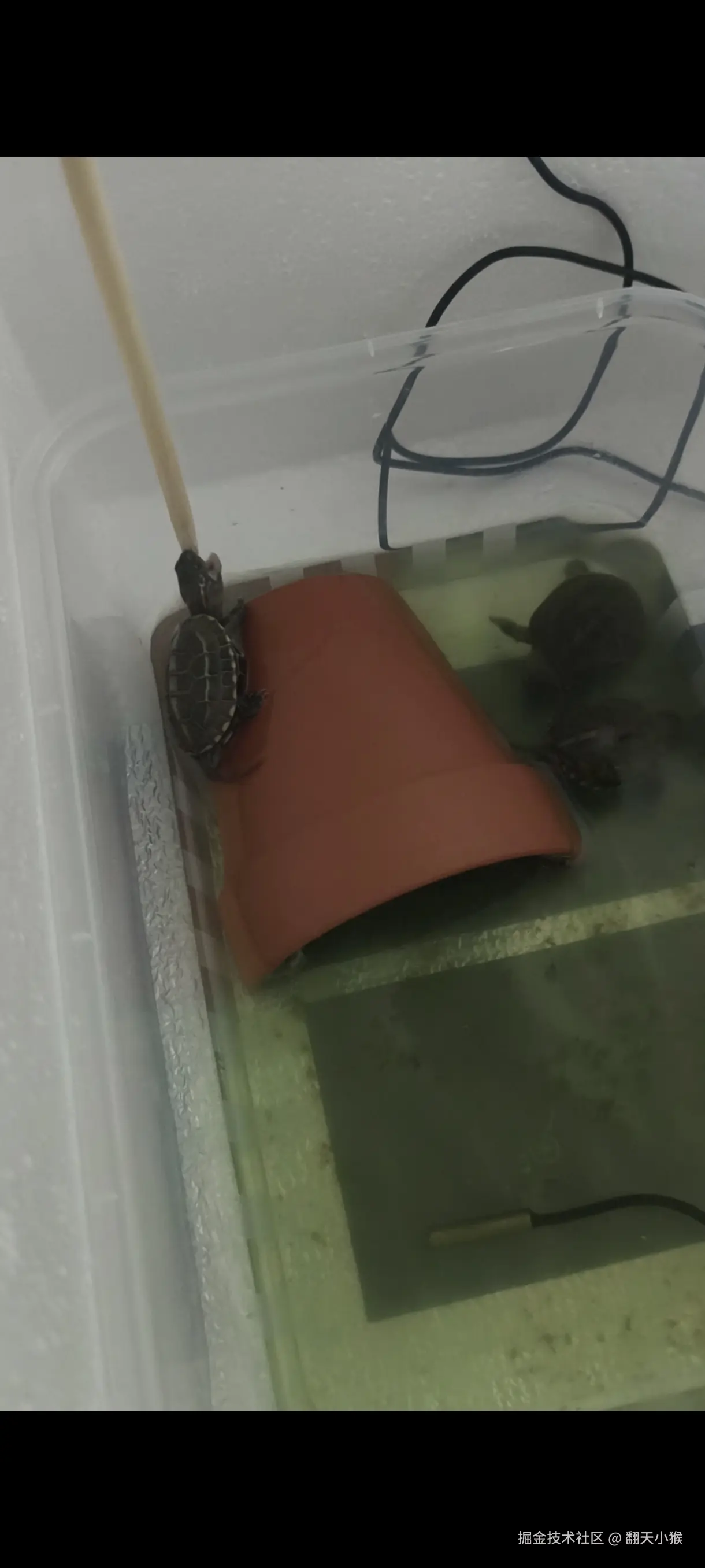 翻天小猴于2024-10-30 16:53发布的图片