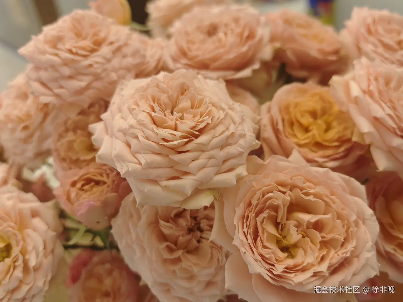 徐非晚于2024-08-26 22:49发布的图片