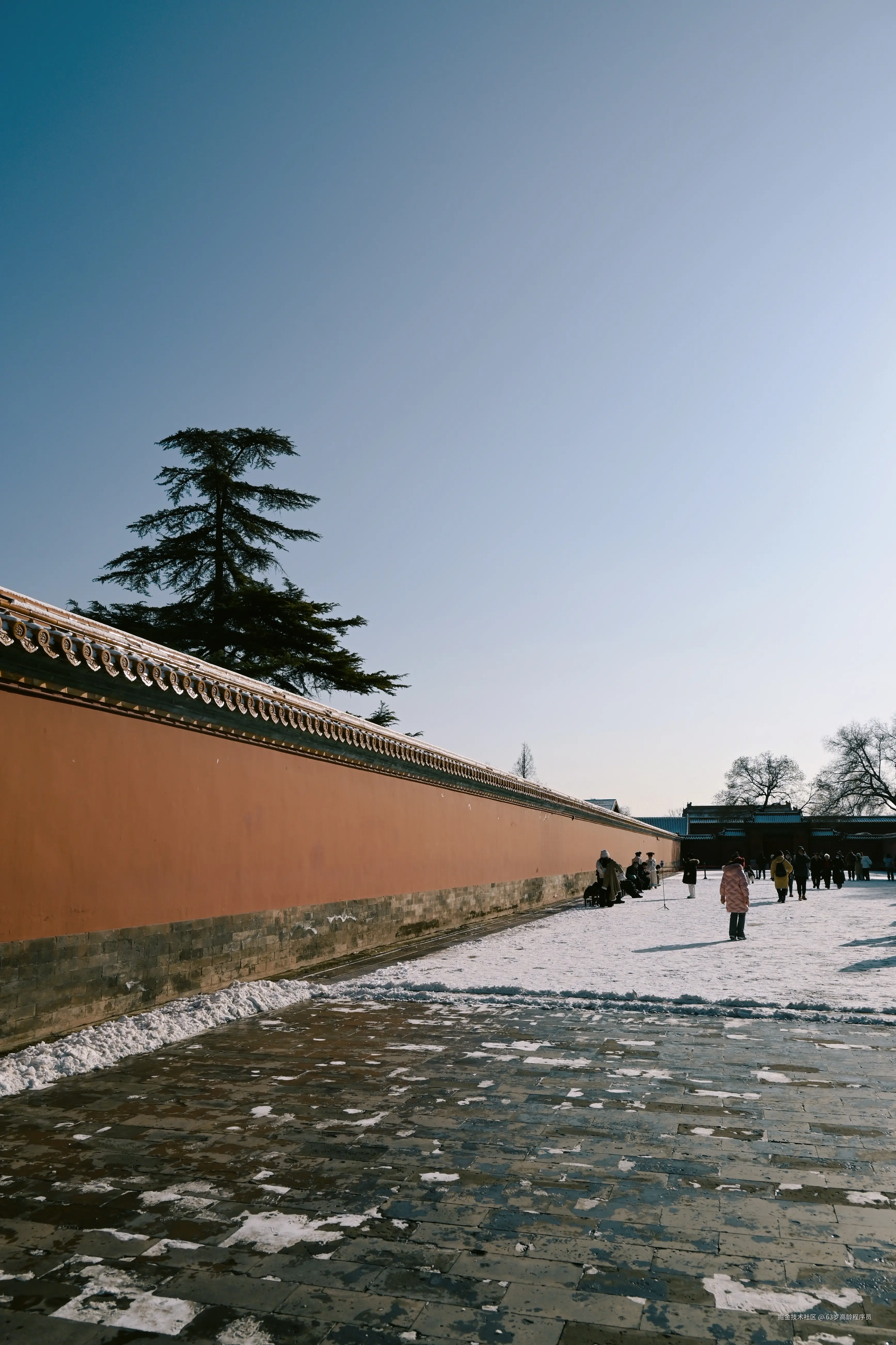 63岁高龄程序员于2025-12-19 09:23发布的图片